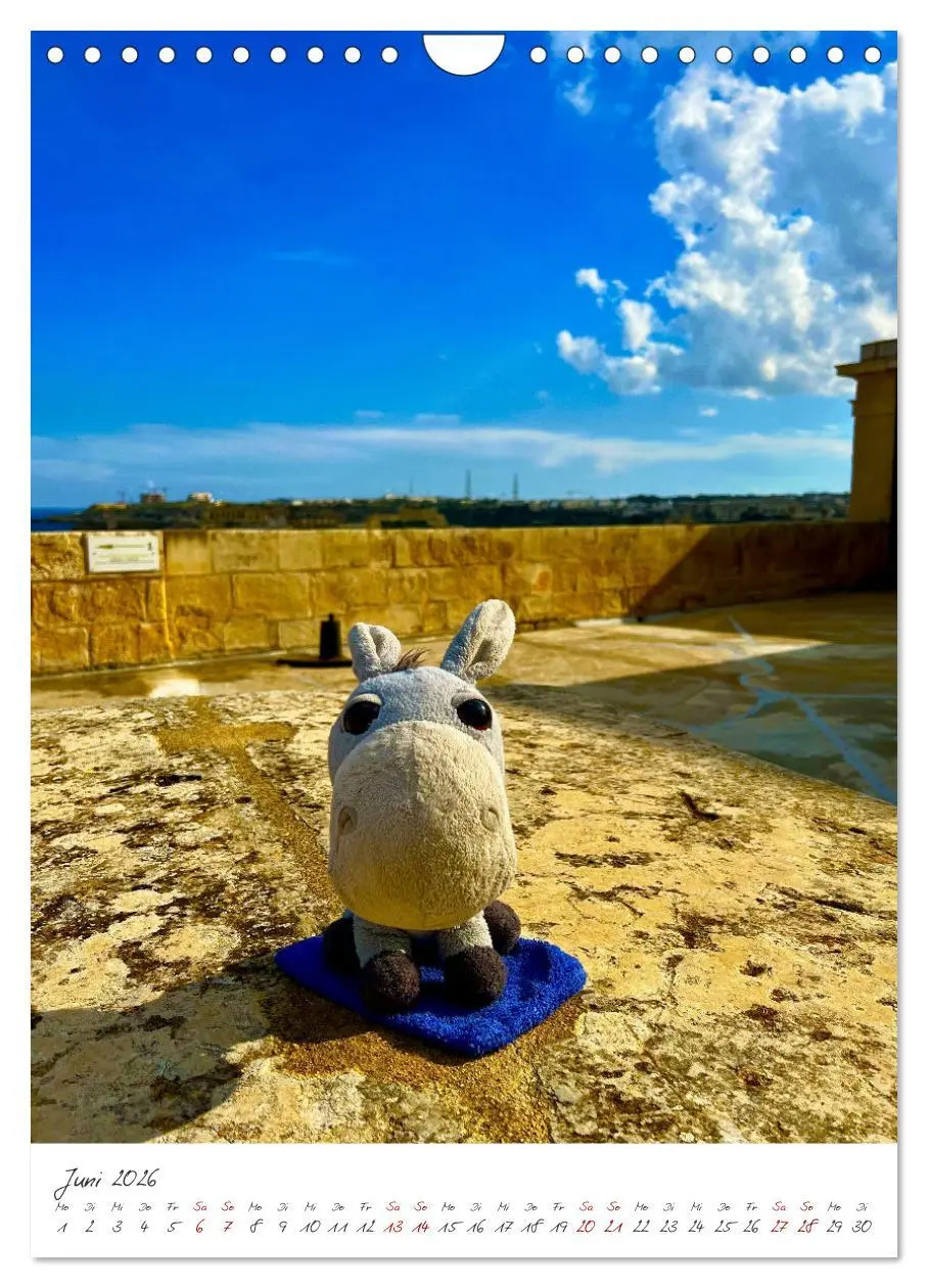Bild: 9783516294828 | Schorschi auf Reisen ein kleiner Esel unterwegs auf der Insel Malta...