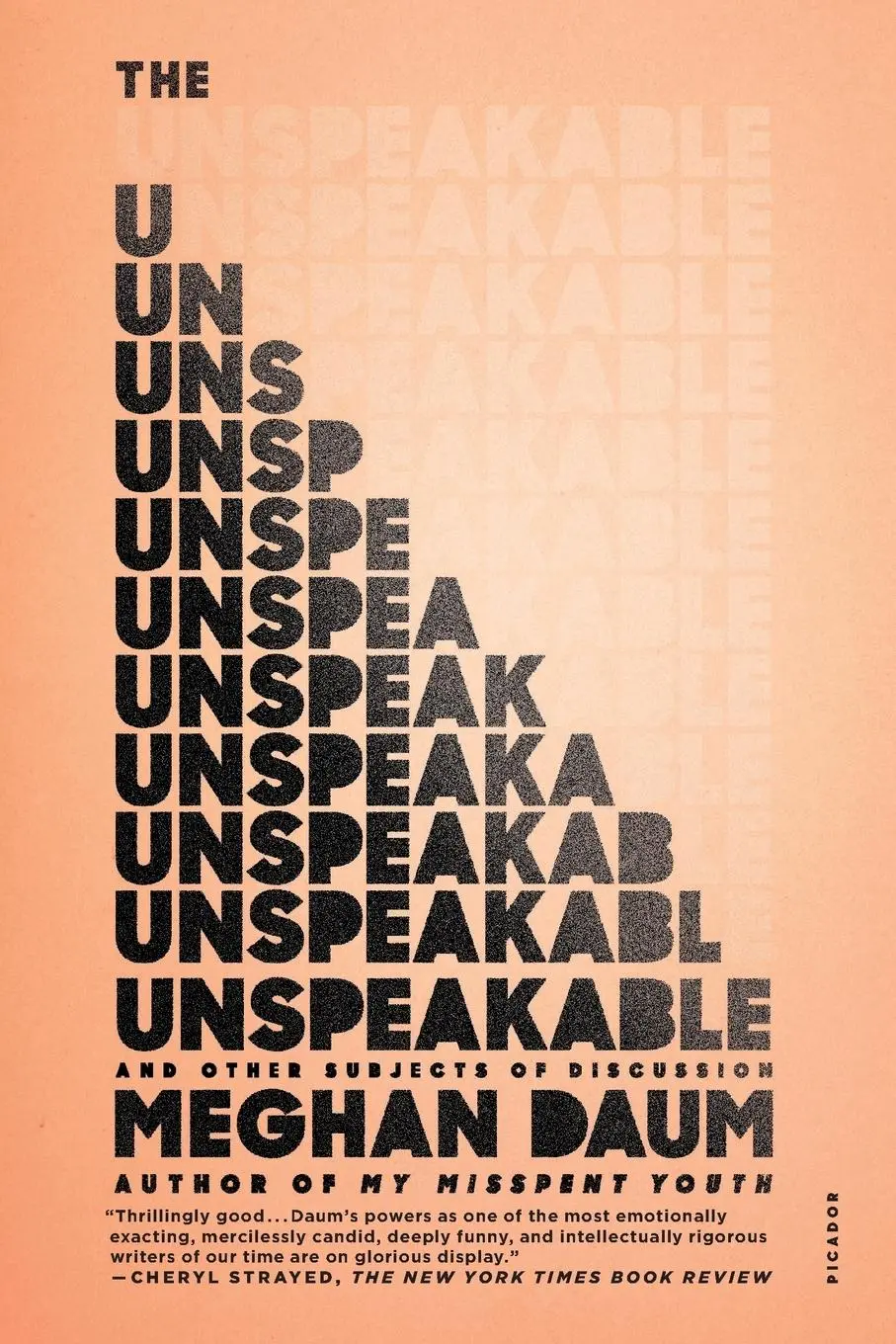 Cover: 9781250074928 | Unspeakable | Meghan Daum | Taschenbuch | Englisch | 2015
