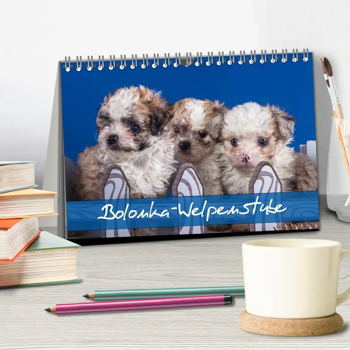 Bild: 9783516114928 | Bolonka Welpenstube (Tischkalender 2026 DIN A5 quer), CALVENDO...