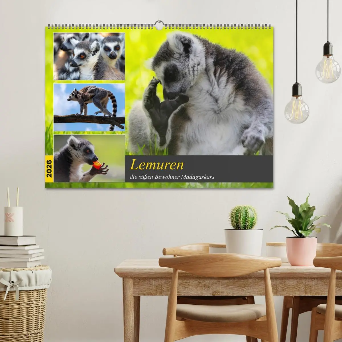 Bild: 9783457775028 | Lemuren die süßen Bewohner Madagaskars (Wandkalender 2026 DIN A2...