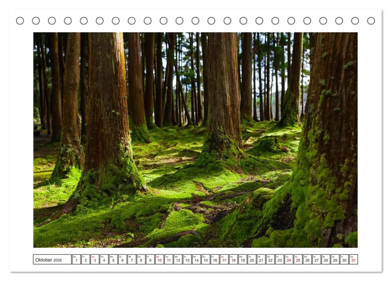 Bild: 9783457845028 | São Miguel - Naturschönheit der Azoren (Tischkalender 2026 DIN A5...