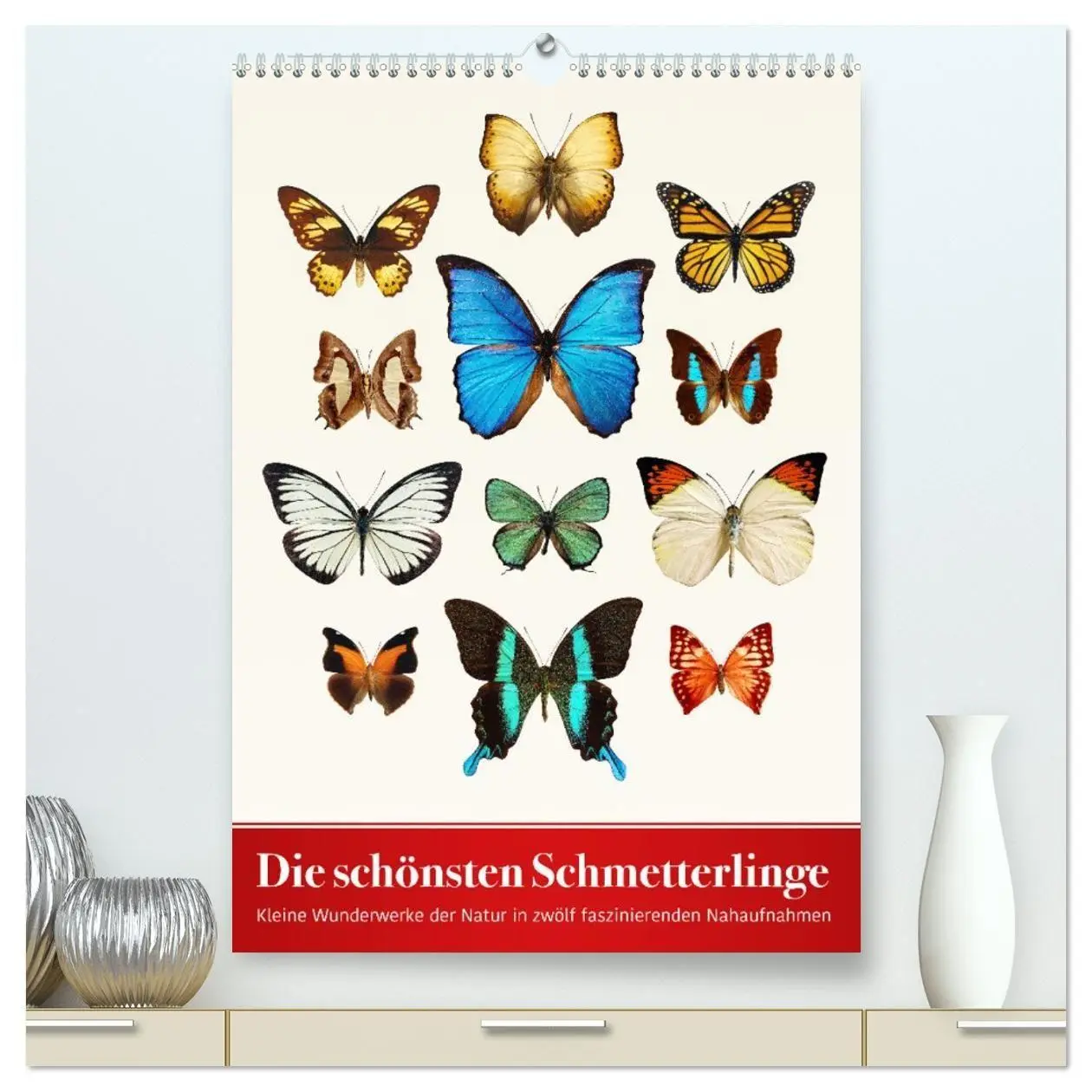 Cover: 9783569955028 | Die schönsten Schmetterlinge (hochwertiger Premium Wandkalender...