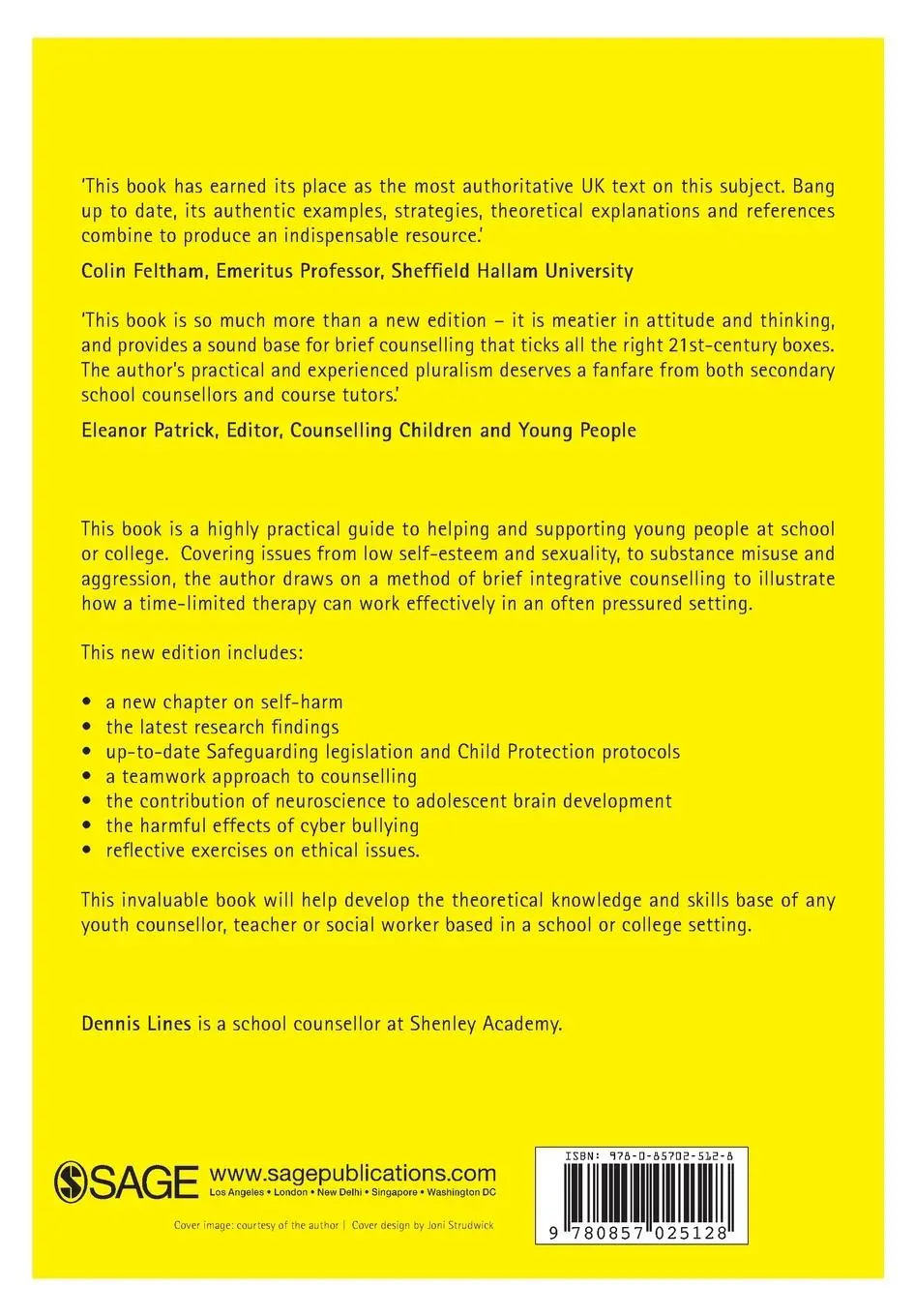 Rückseite: 9780857025128 | Brief Counselling in Schools | Working with Young People from 11 to 18