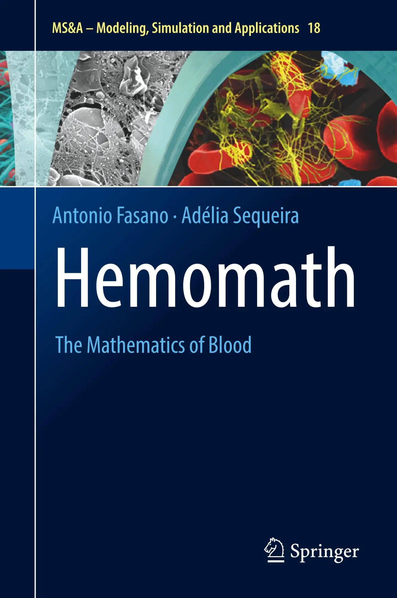 Cover: 9783319605128 | Hemomath | The Mathematics of Blood | Adélia Sequeira (u. a.) | Buch