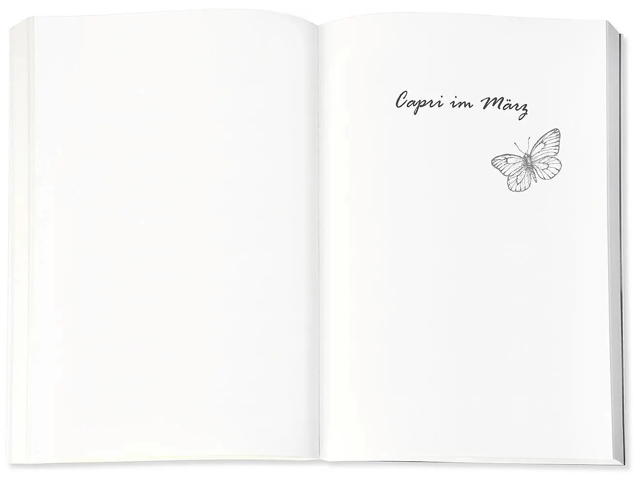 Bild: 9783426525128 | Der Schmetterlingsgarten | Roman | Marie Matisek | Taschenbuch | 2020