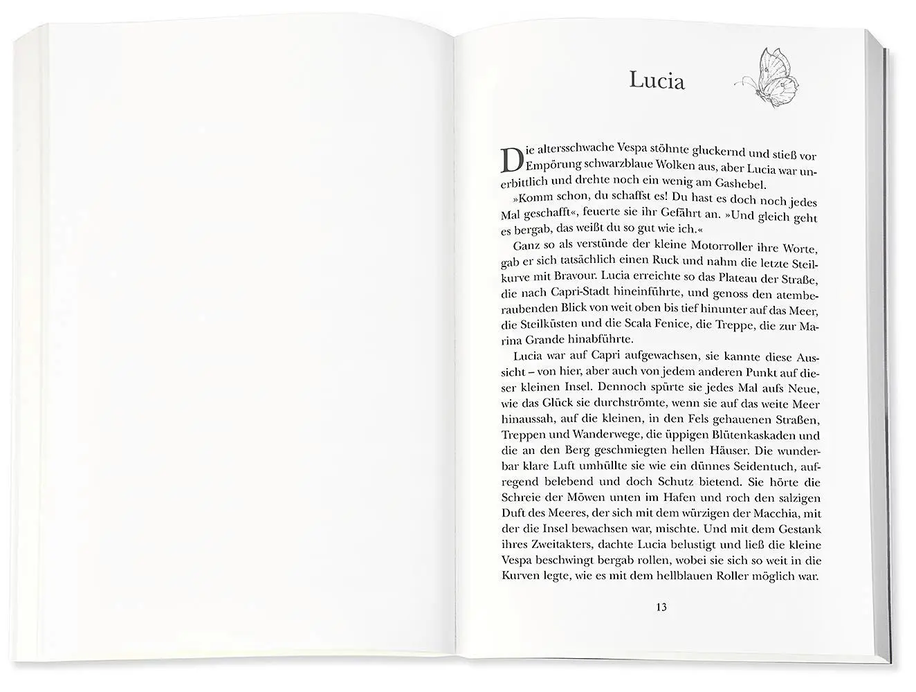 Bild: 9783426525128 | Der Schmetterlingsgarten | Roman | Marie Matisek | Taschenbuch | 2020