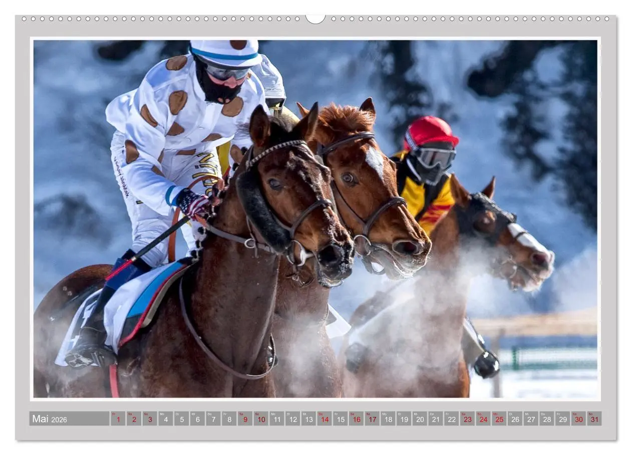 Bild: 9783457455128 | Pferde-Rennen auf Schnee und im Wasser (hochwertiger Premium...