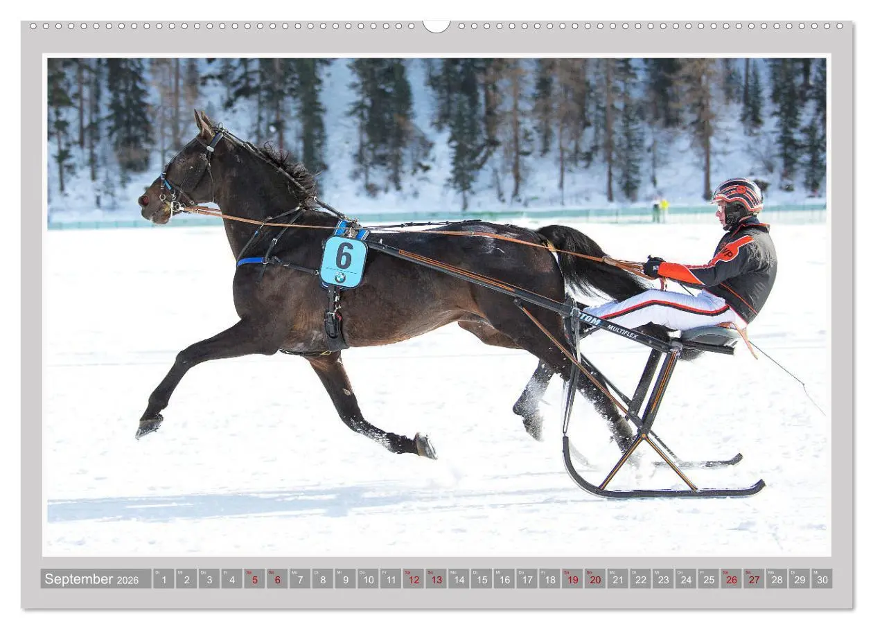 Bild: 9783457455128 | Pferde-Rennen auf Schnee und im Wasser (hochwertiger Premium...