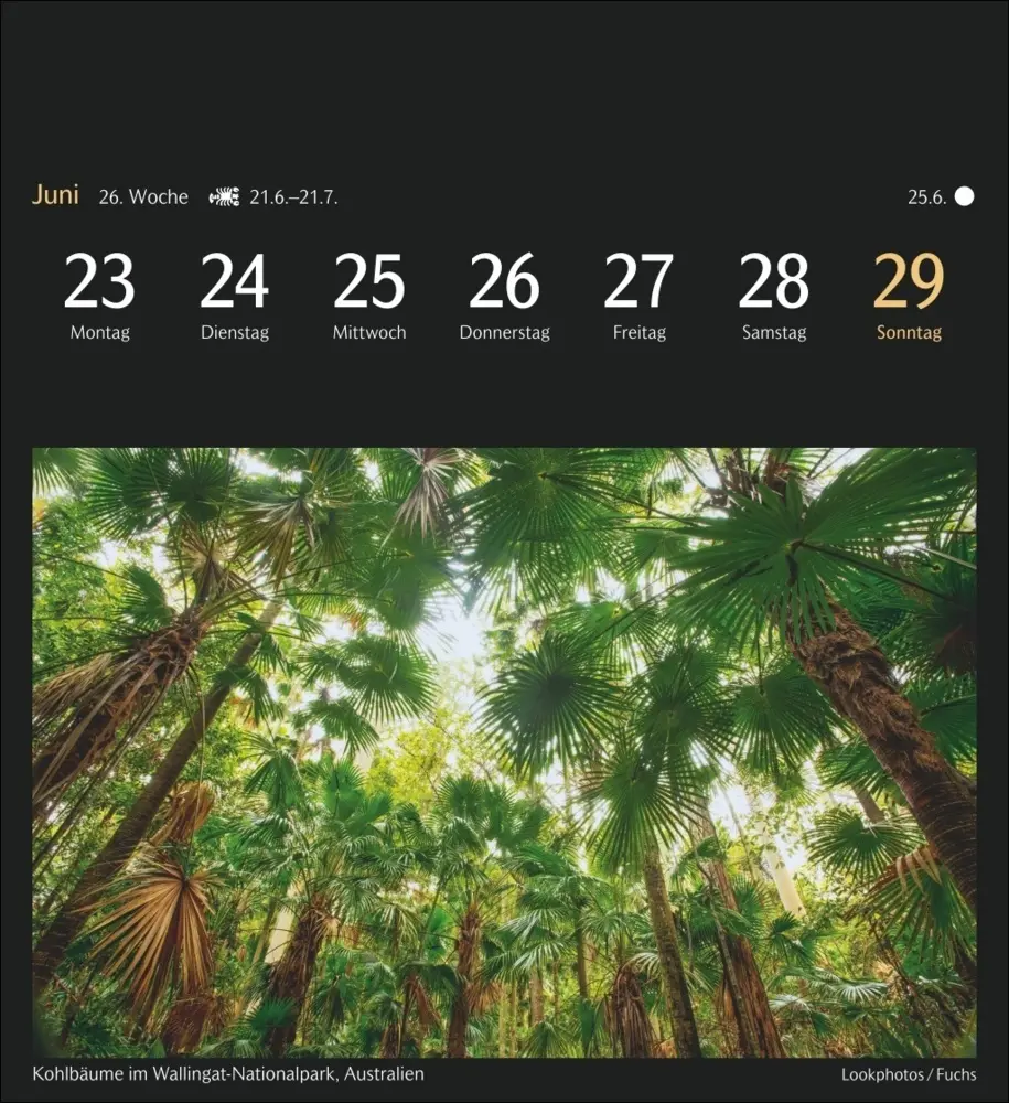 Bild: 9783840035128 | Weltreisen Postkartenkalender 2025 - Kalender mit 53 Postkarten | 2025