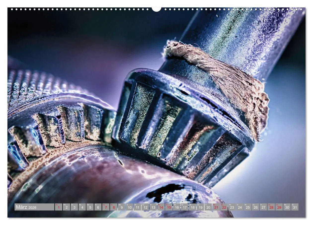 Bild: 9783457685228 | Lebensfreude Werkzeuge (hochwertiger Premium Wandkalender 2026 DIN...