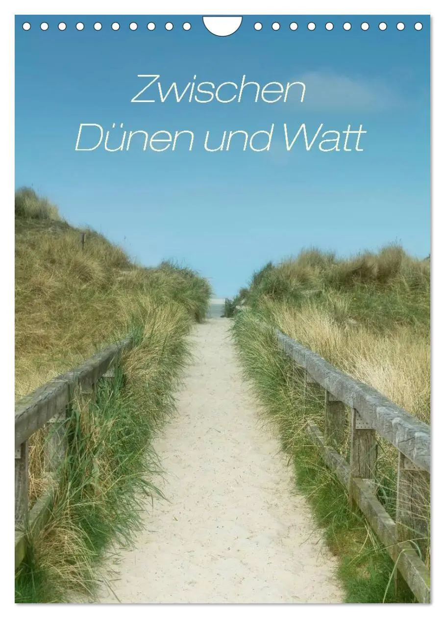 Cover: 9783516465228 | Zwischen Dünen und Watt / Geburtstagskalender (Wandkalender 2026...