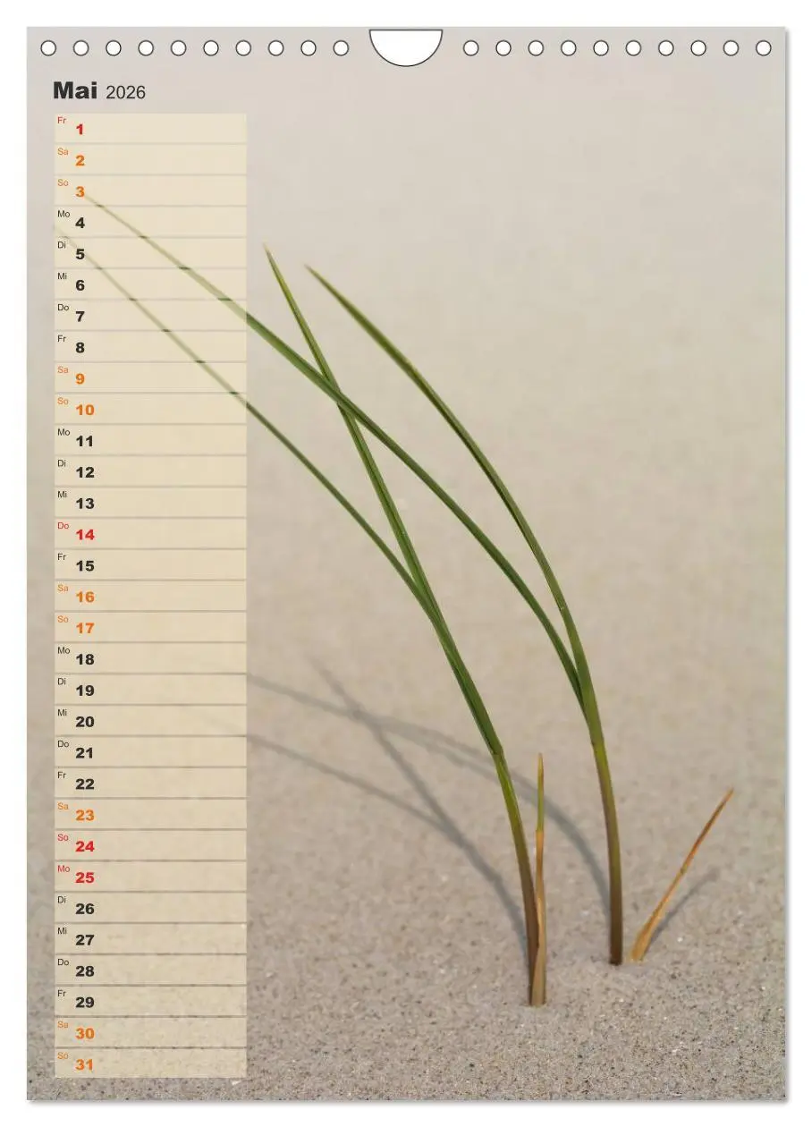Bild: 9783516465228 | Zwischen Dünen und Watt / Geburtstagskalender (Wandkalender 2026...