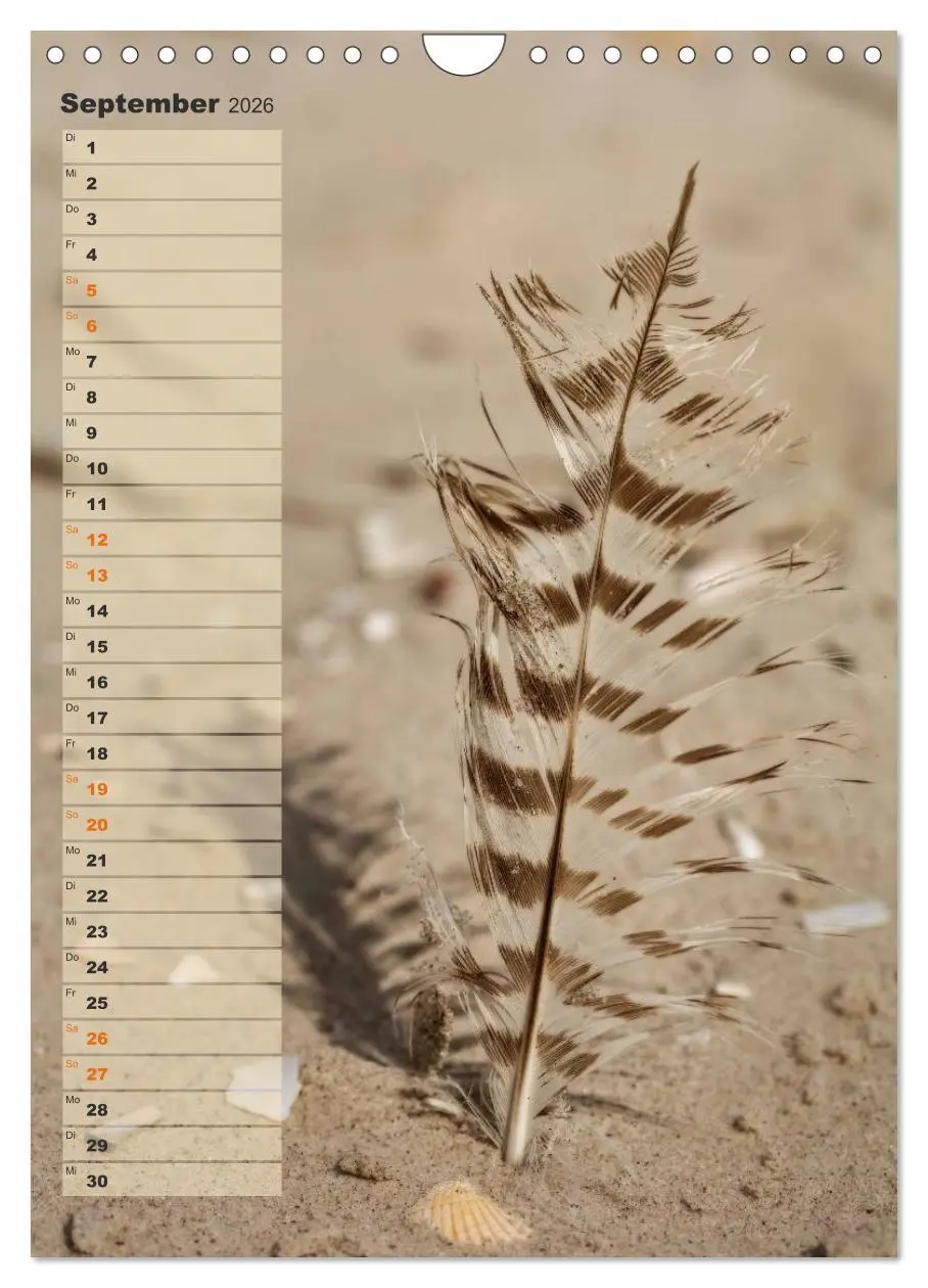 Bild: 9783516465228 | Zwischen Dünen und Watt / Geburtstagskalender (Wandkalender 2026...