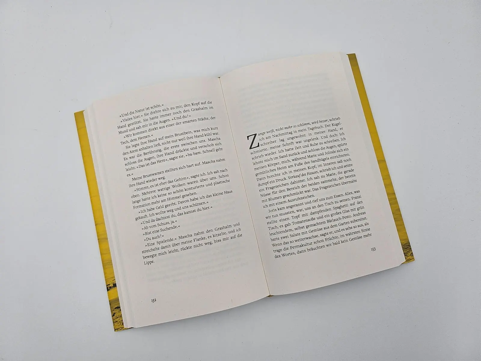 Bild: 9783827015228 | Hier bleiben können wir auch nicht | Roman | Maren Wurster | Buch