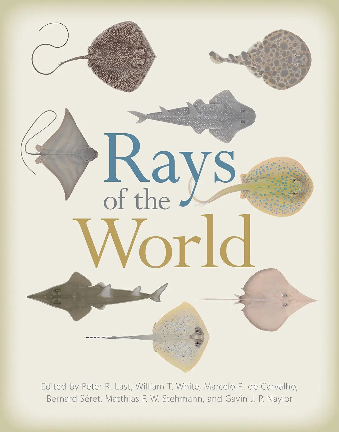 Cover: 9781501705328 | Rays of the World | Bernard Seret (u. a.) | Buch | Englisch | 2017