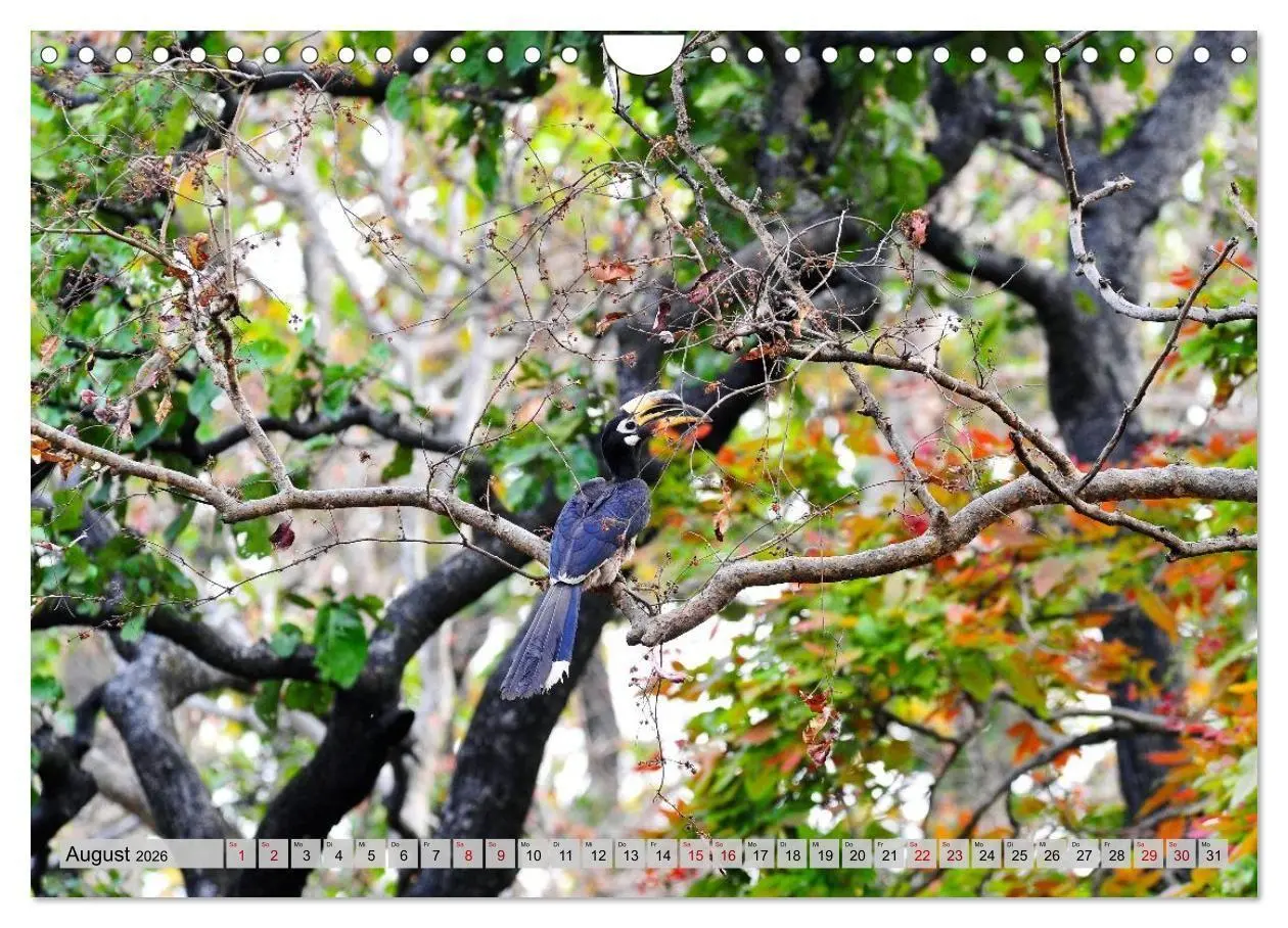 Bild: 9783516695328 | Uttarakhand - Land der Götter (Wandkalender 2026 DIN A4 quer),...