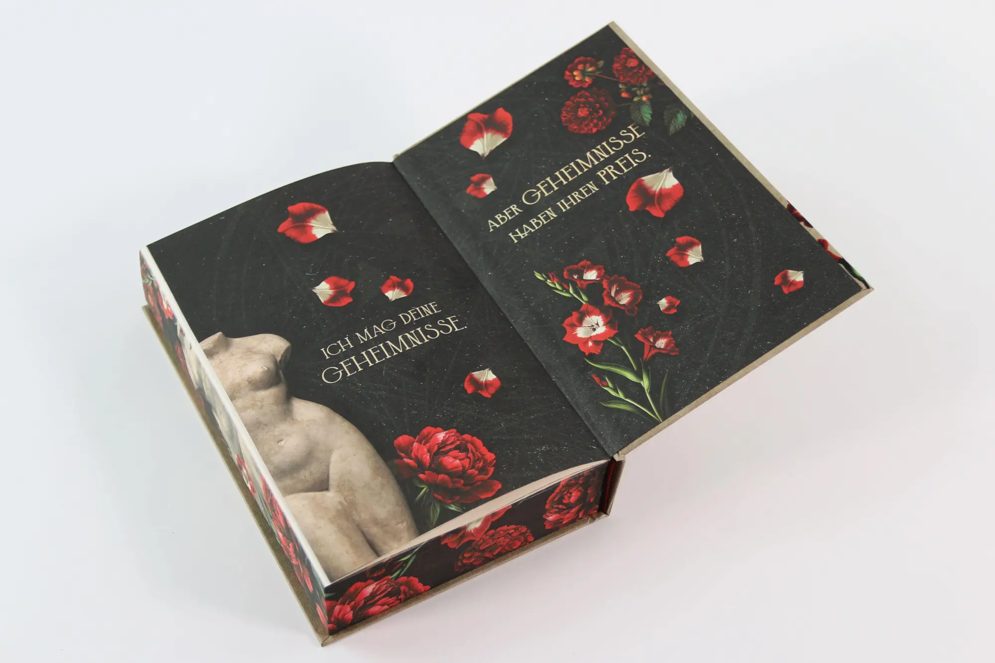 Bild: 9783743225428 | The Arcane Arts | S. D. Coverly | Buch | 512 S. | Deutsch | 2026