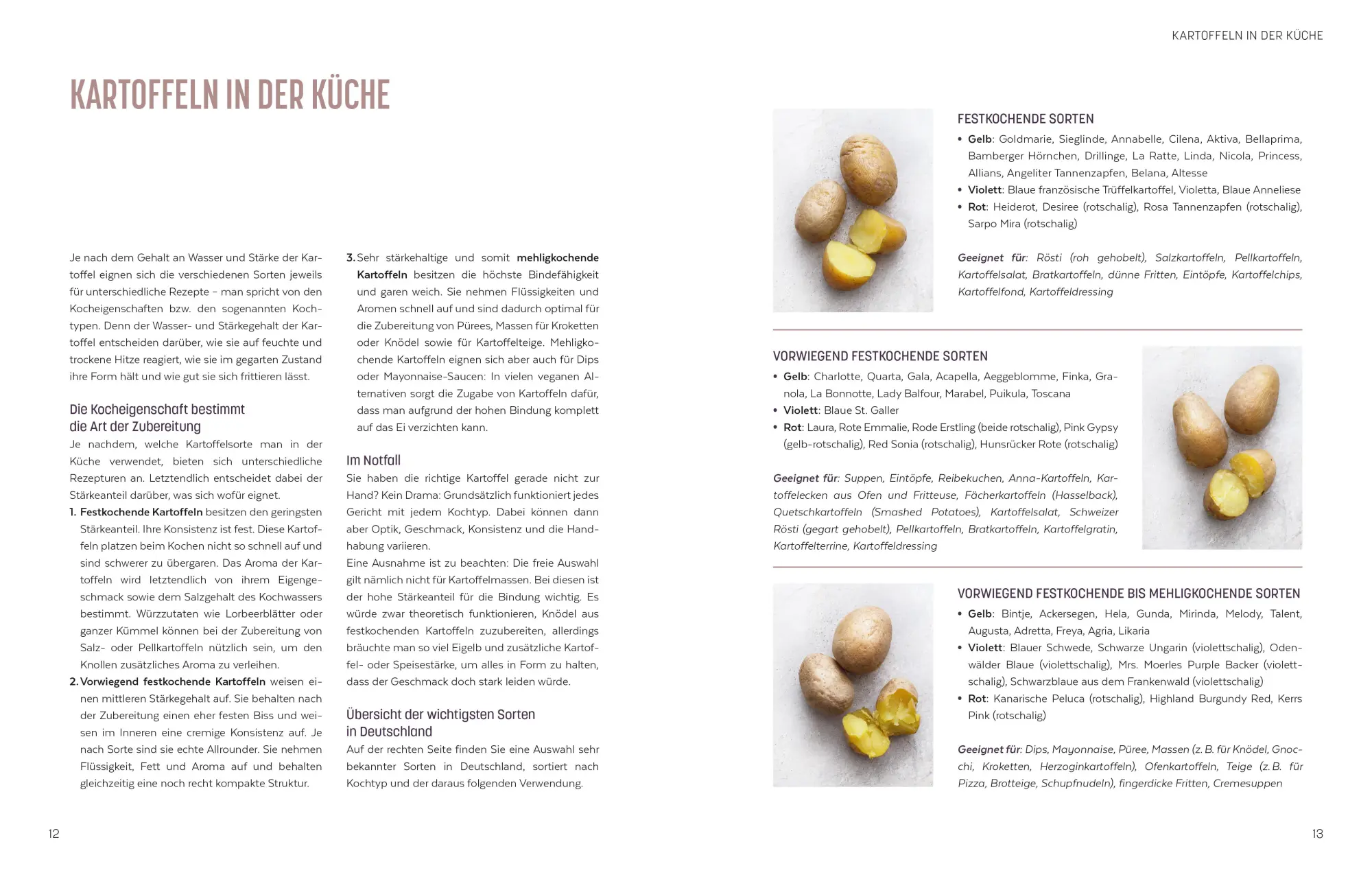 Bild: 9783965845428 | Kartoffel - Das große Kochbuch | Manuel Weyer | Buch | 256 S. | 2025