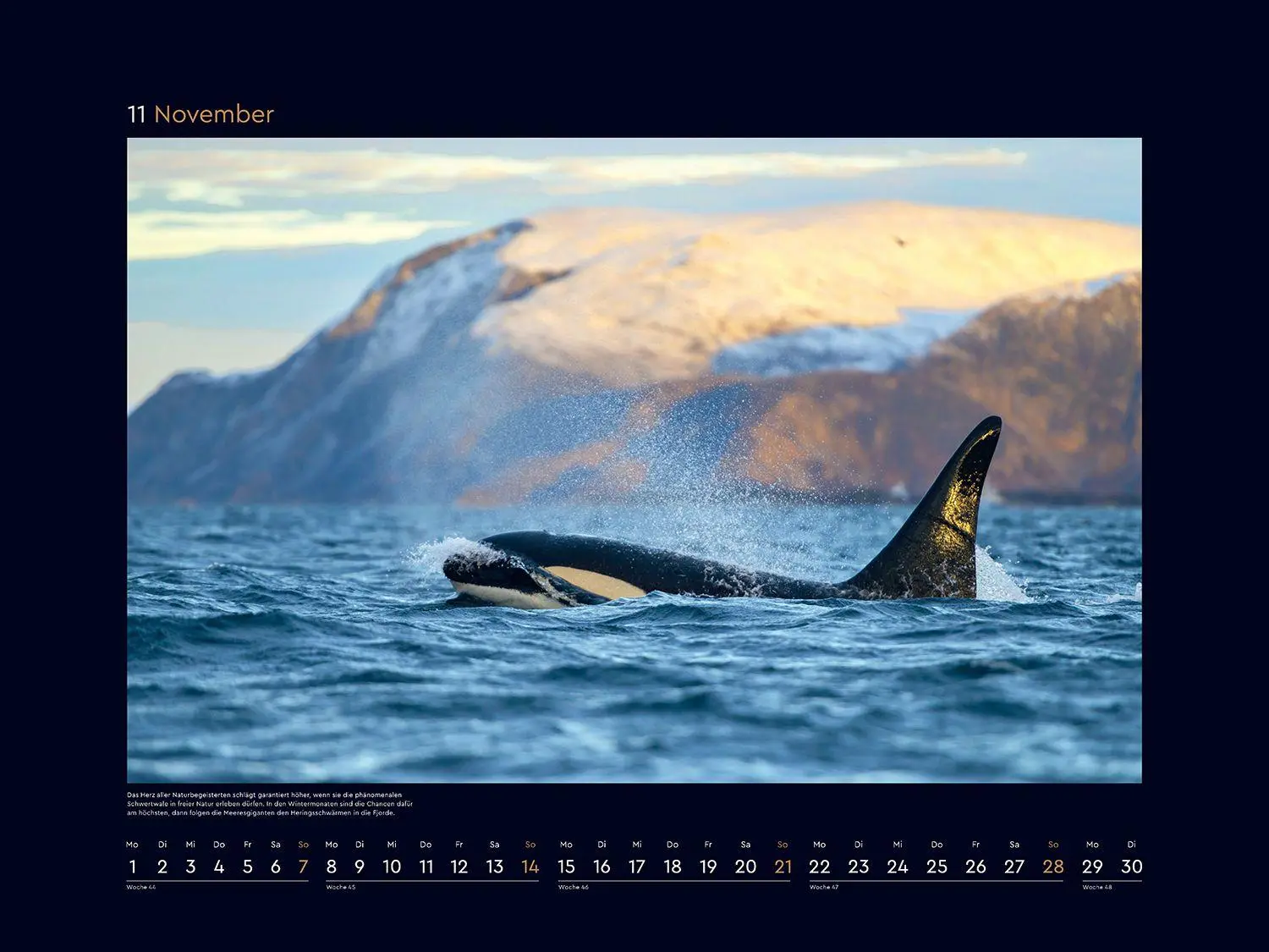Bild: 9783965915428 | Hurtigruten - KUNTH Wandkalender 2027 | Kalender | 14 S. | Deutsch