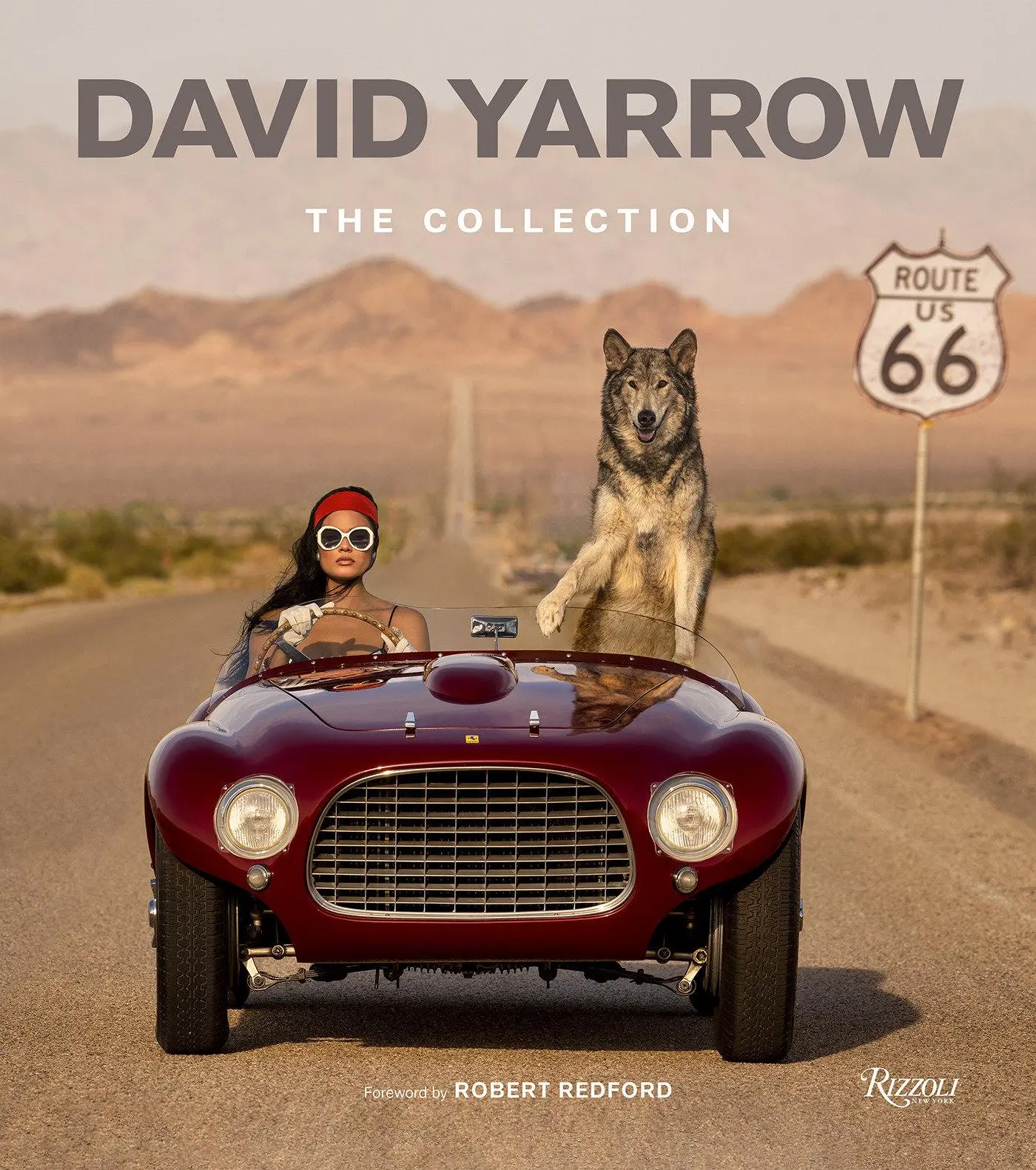Cover: 9780847875528 | David Yarrow | The Collection | David Yarrow | Buch | Englisch | 2025