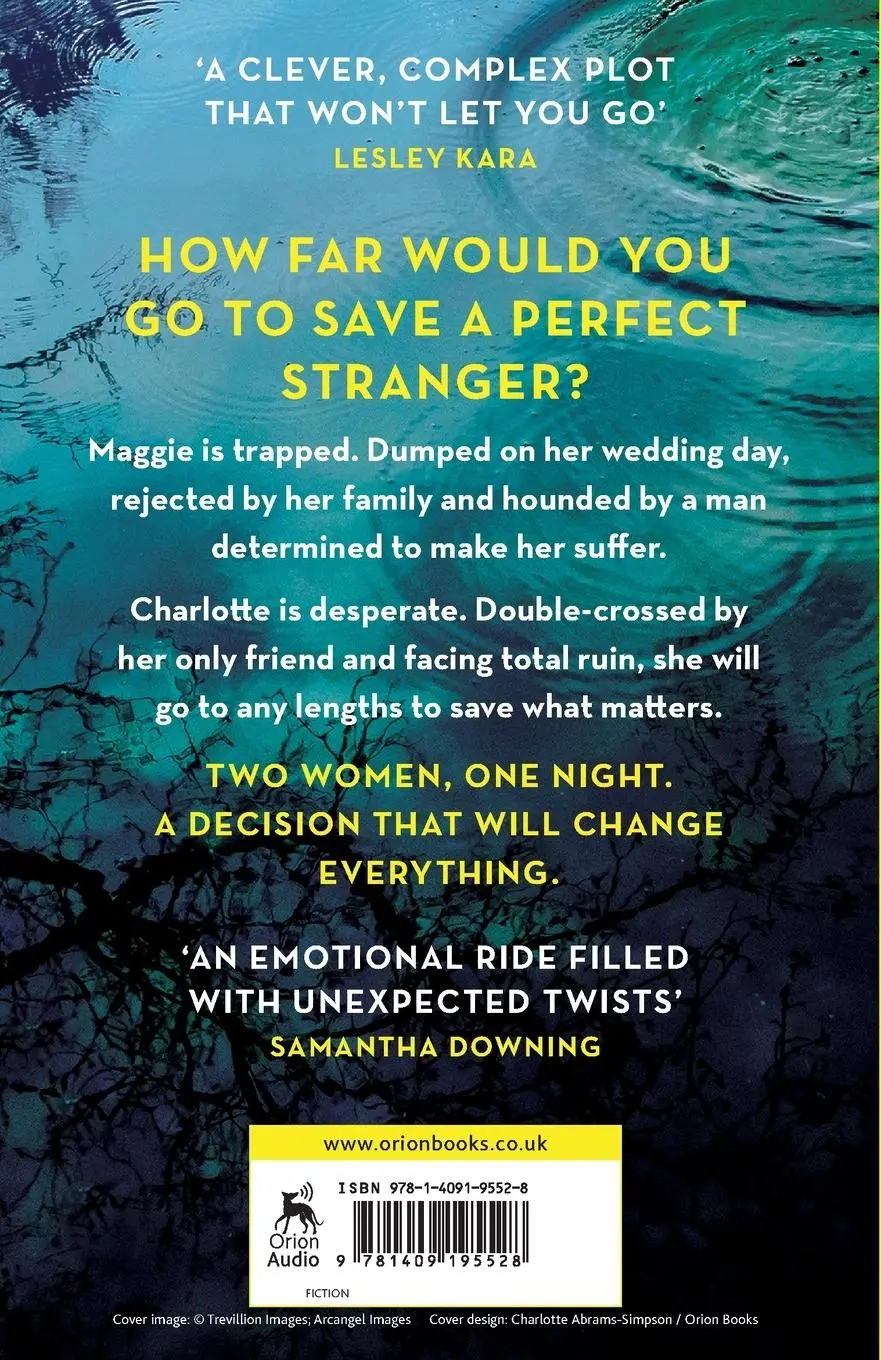 Rückseite: 9781409195528 | The Woman on the Bridge | Holly Seddon | Taschenbuch | Englisch | 2022