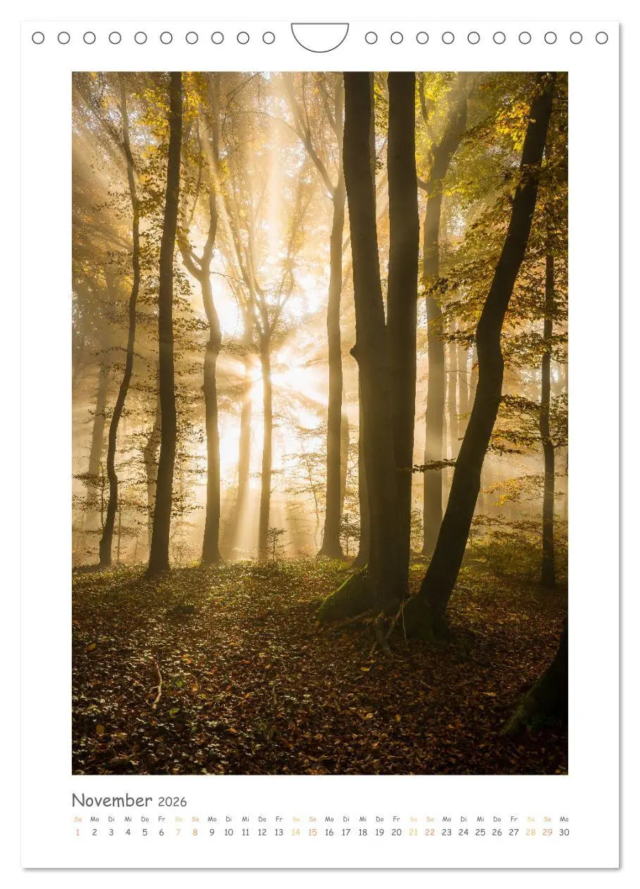 Bild: 9783457275528 | peaceful silence - einsame Landschaften (Wandkalender 2026 DIN A4...