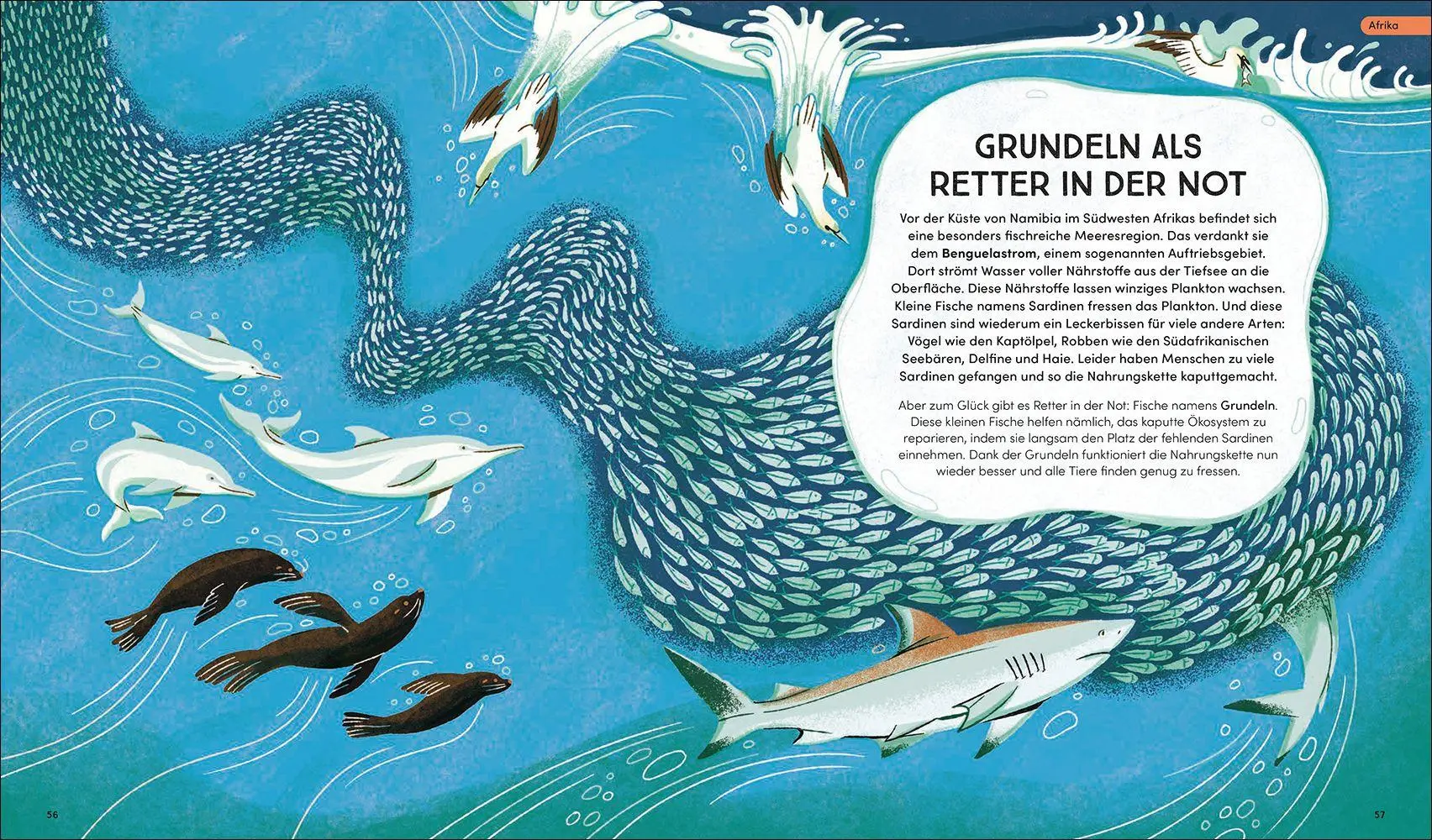 Bild: 9783458645528 | Tierisch wichtig! | Sharon Wismer | Buch | 77 S. | Deutsch | 2026