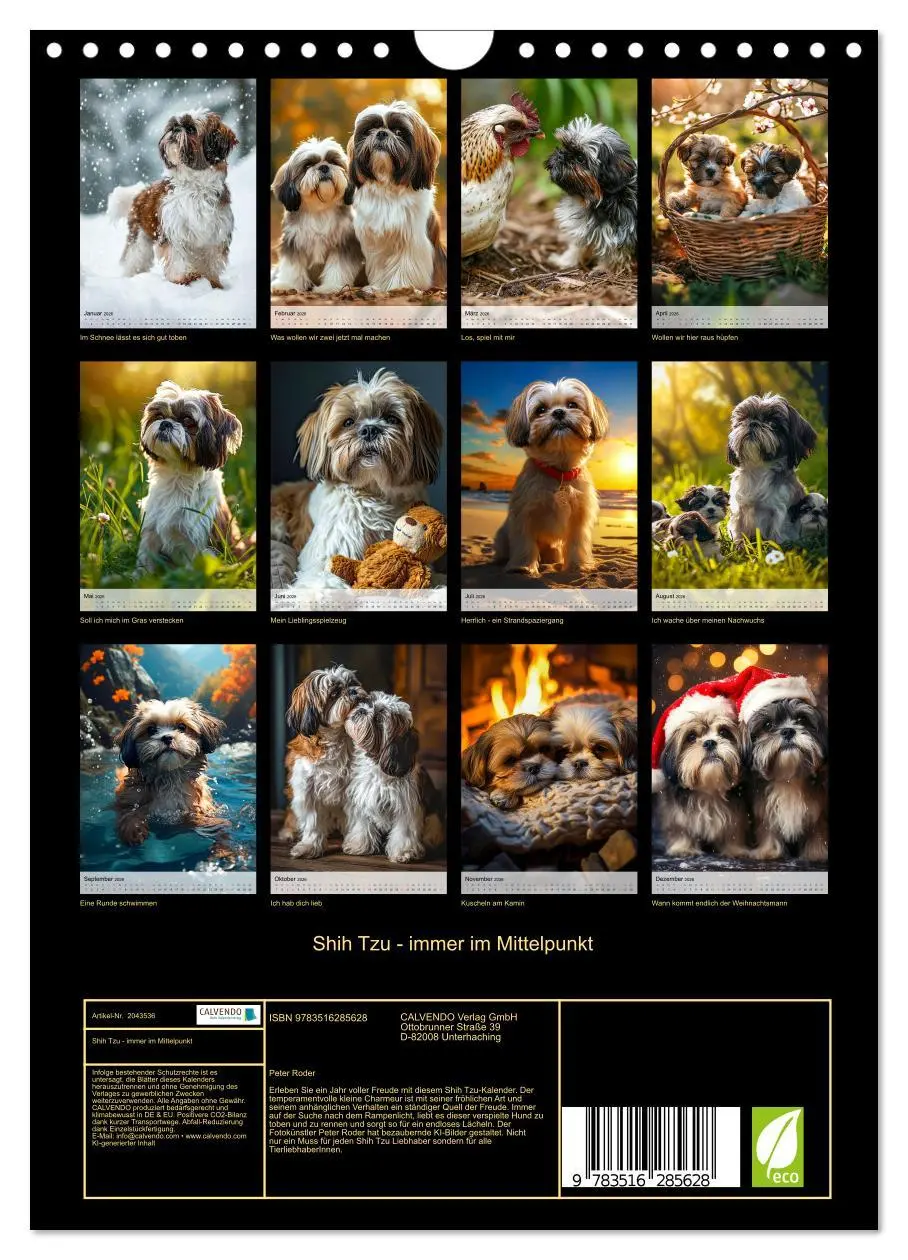 Bild: 9783516285628 | Shih Tzu - immer im Mittelpunkt (Wandkalender 2026 DIN A4 hoch),...