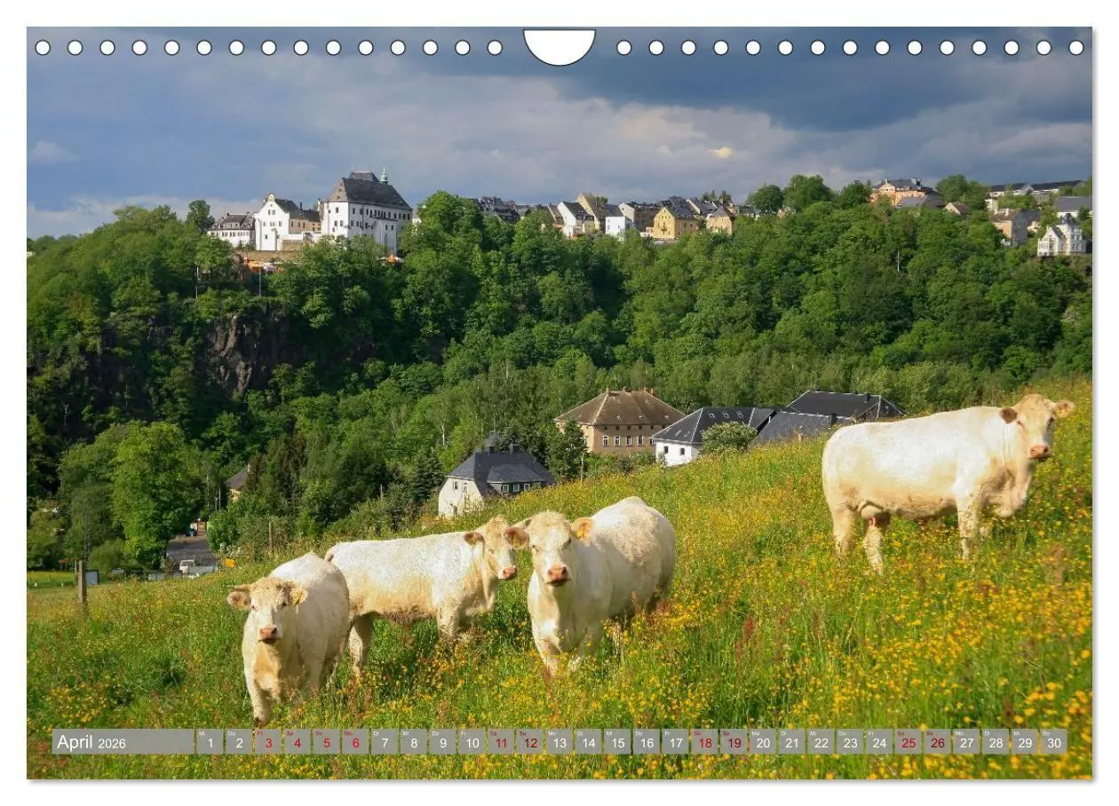 Bild: 9783516665628 | Burgen in Deutschland (Wandkalender 2026 DIN A4 quer), CALVENDO...