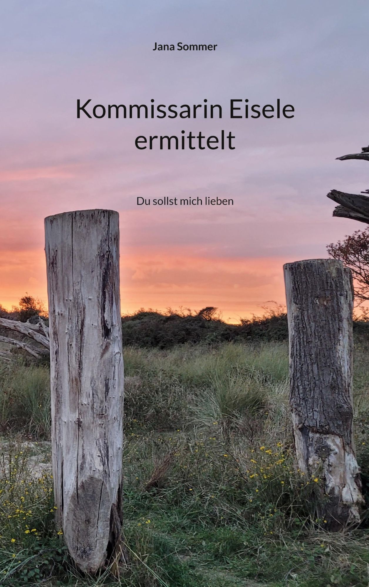 Cover: 9783819225628 | Kommissarin Eisele ermittelt | Du sollst mich lieben | Jana Sommer