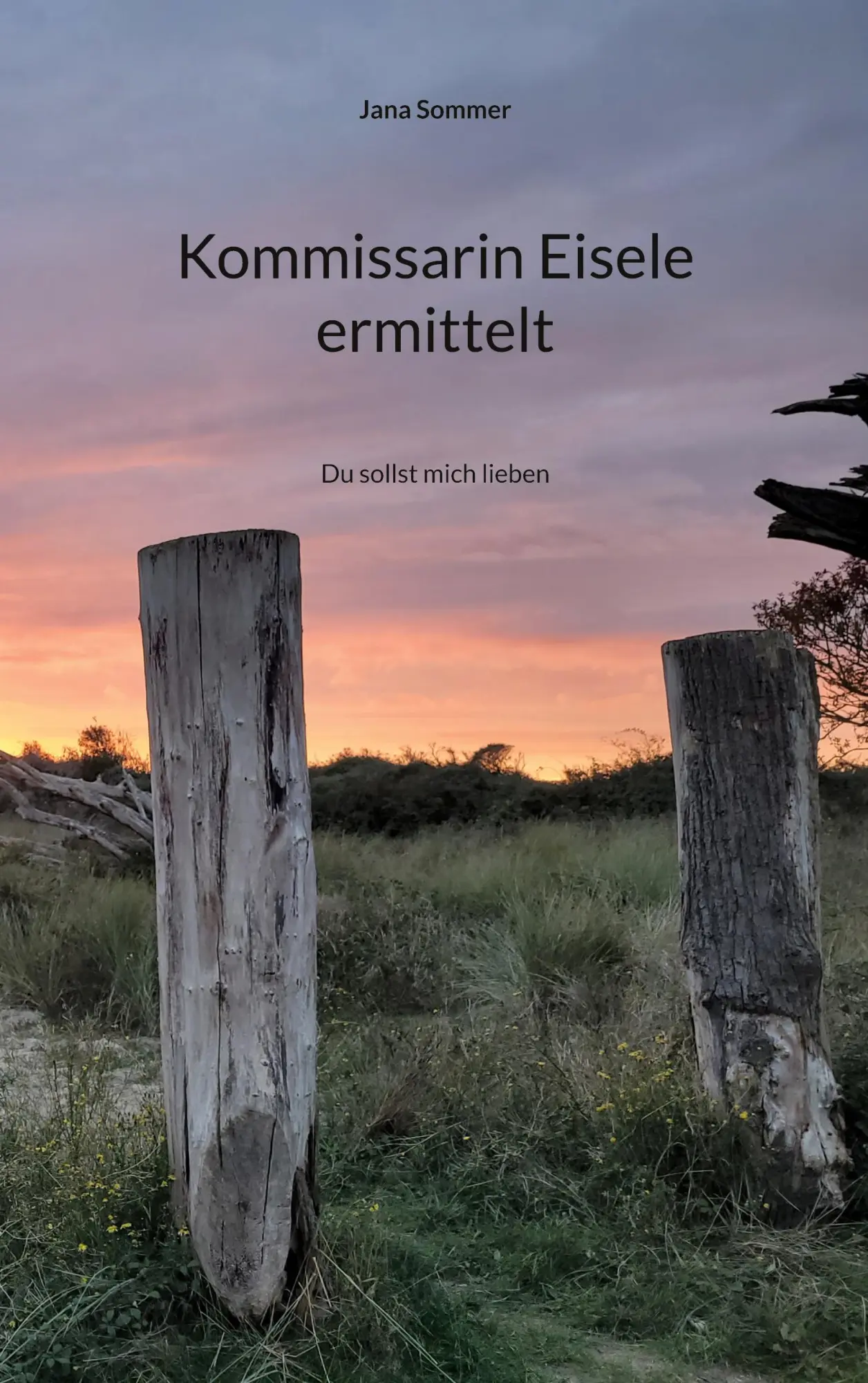 Cover: 9783819225628 | Kommissarin Eisele ermittelt | Du sollst mich lieben | Jana Sommer