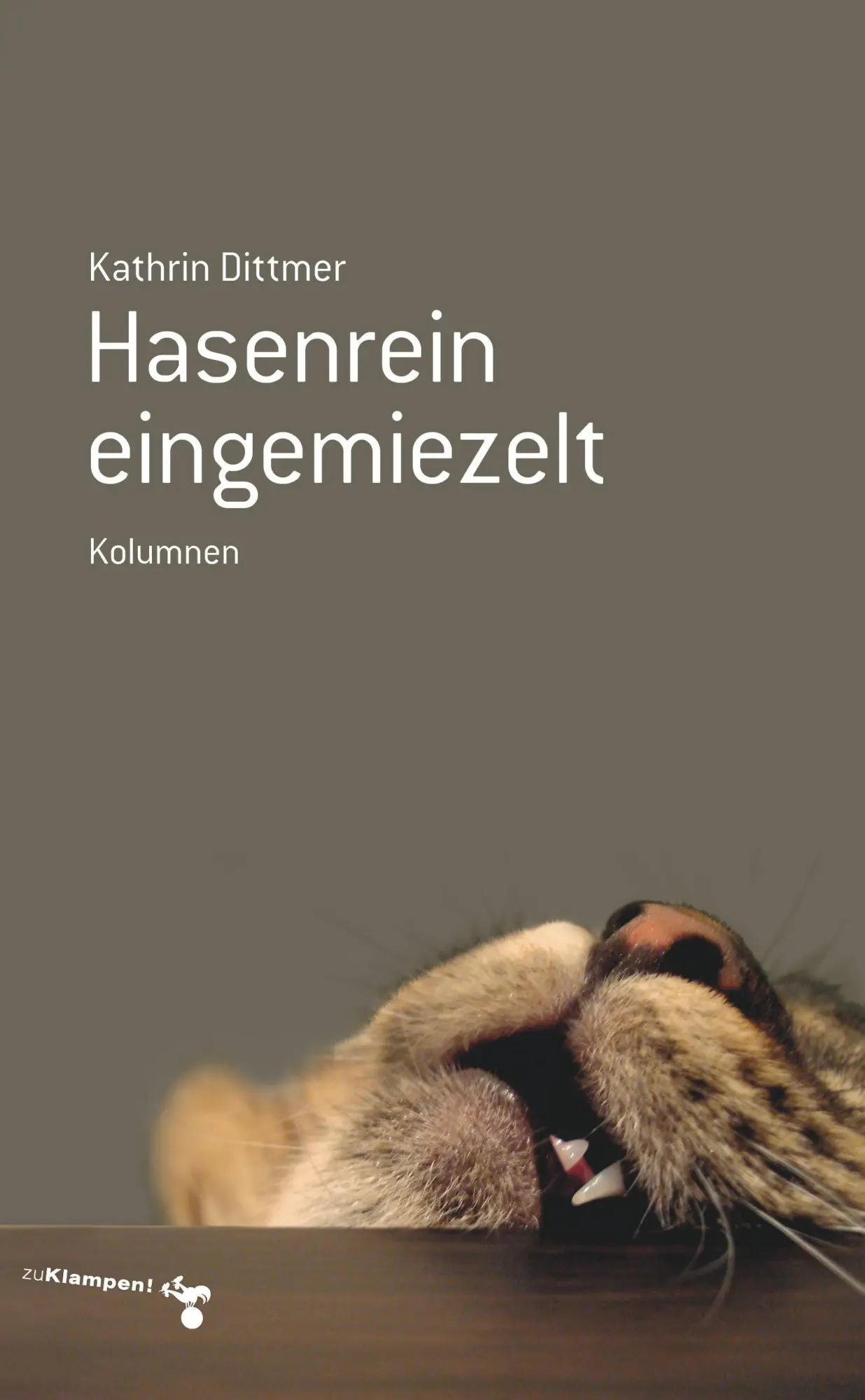Cover: 9783866745728 | Hasenrein eingemiezelt | Kolumnen | Kathrin Dittmer | Taschenbuch
