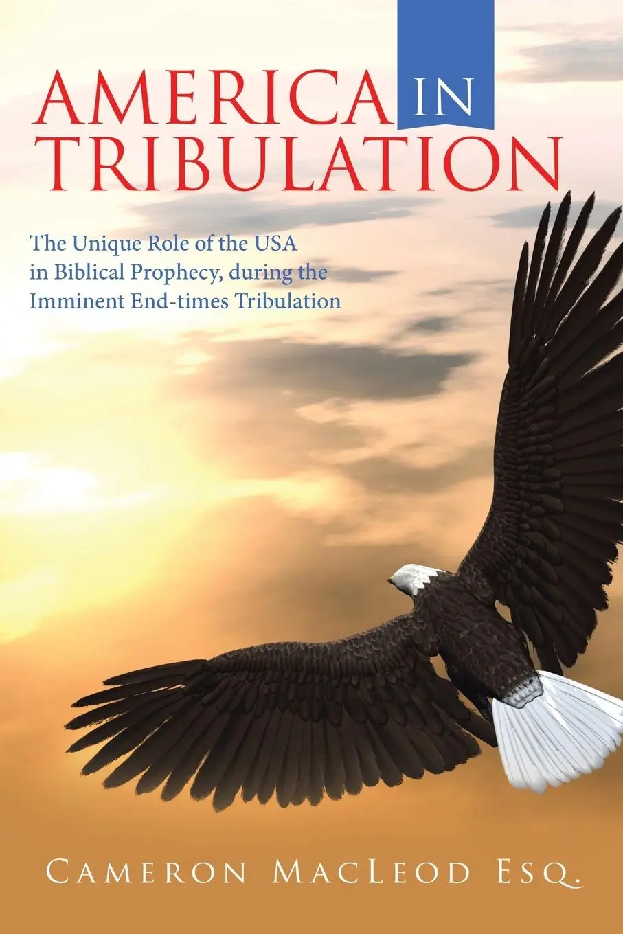 Cover: 9781489745828 | America in Tribulation | Cameron MacLeod Esq. | Taschenbuch | Englisch