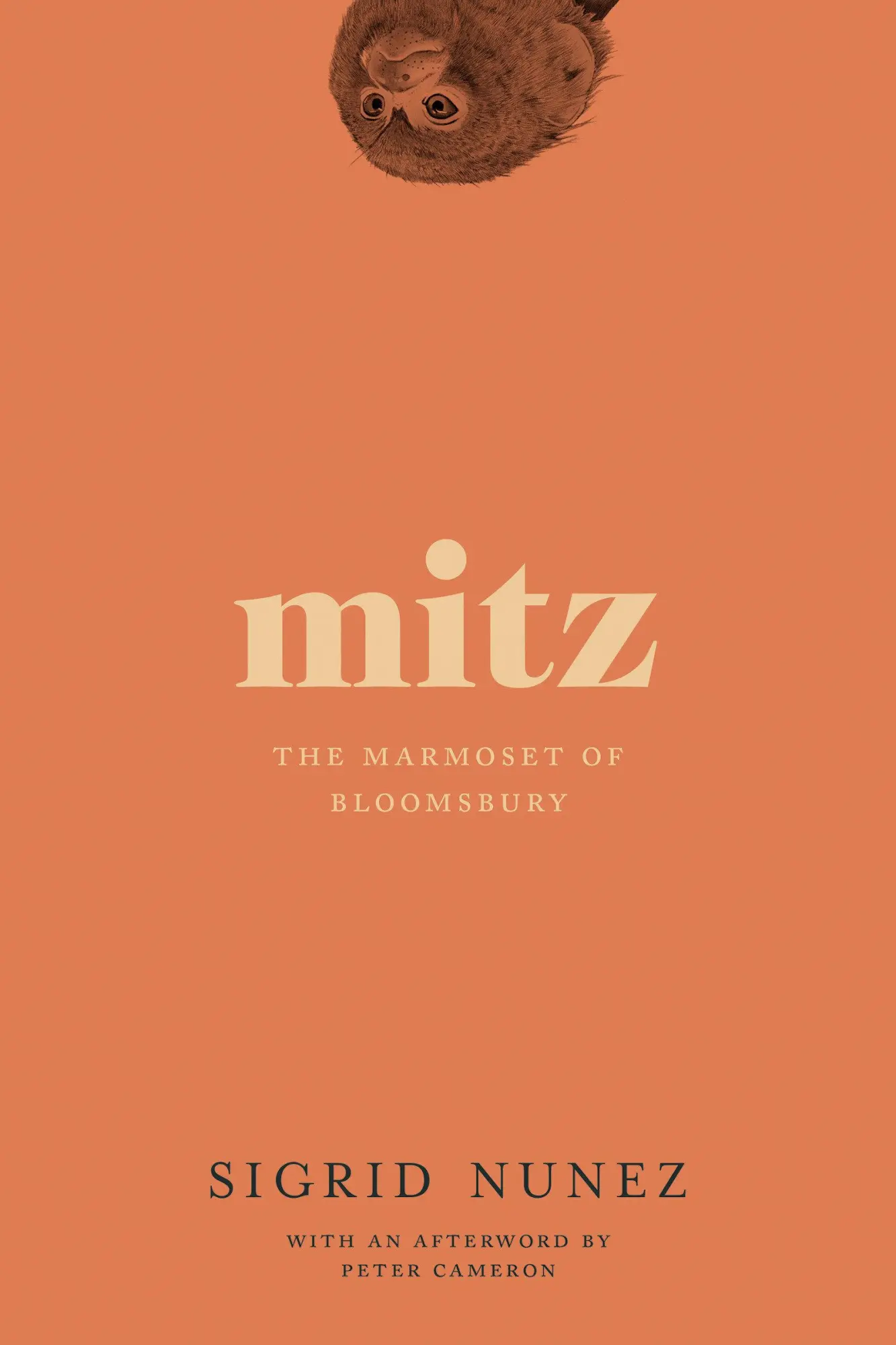 Cover: 9781593765828 | Mitz | The Marmoset of Bloomsbury | Sigrid Nunez | Taschenbuch | 2022