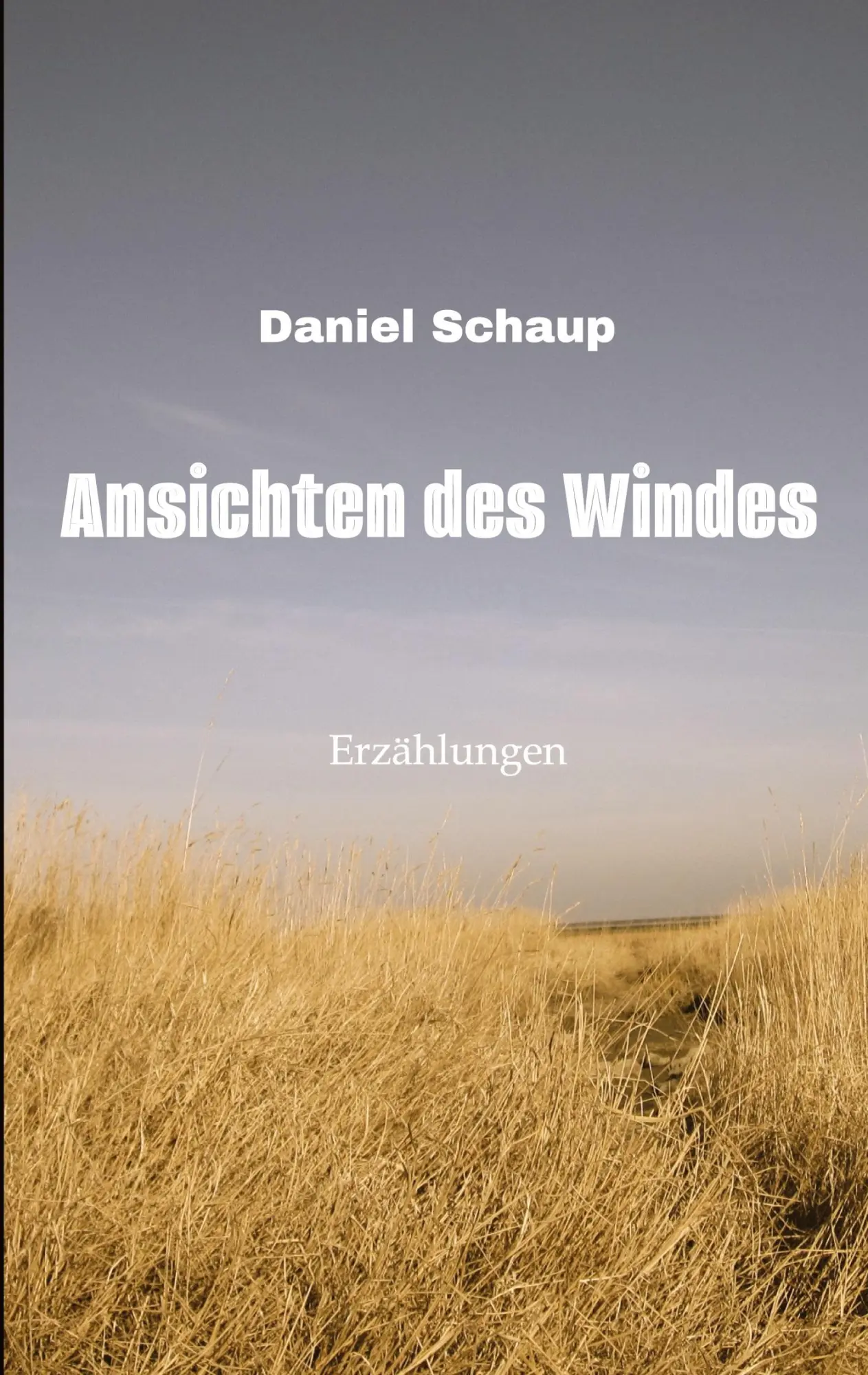 Cover: 9783384125828 | Ansichten des Windes | Daniel Schaup | Taschenbuch | Paperback | 2024