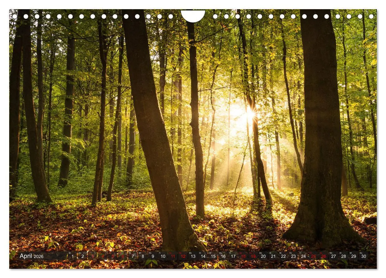 Bild: 9783457555828 | Augsburg - Stadt und Land (Wandkalender 2026 DIN A4 quer), CALVENDO...
