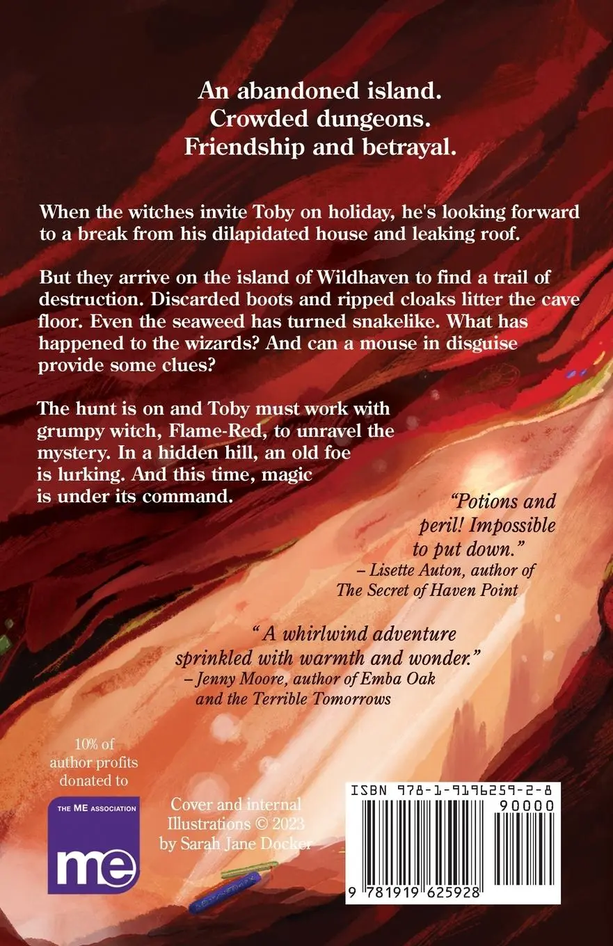 Rückseite: 9781919625928 | Toby and the Wizards of Wildhaven | Sally Doherty | Taschenbuch | 2023
