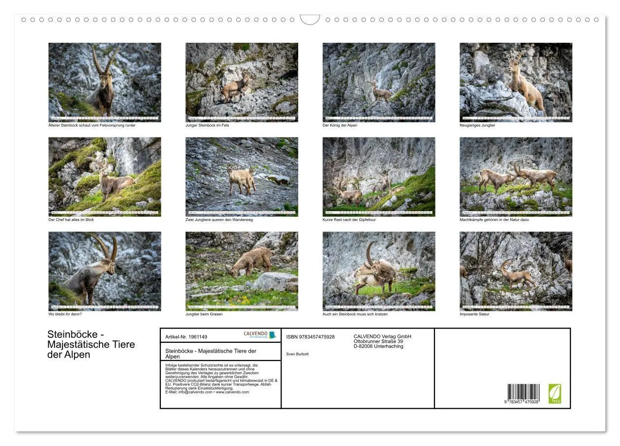 Bild: 9783457475928 | Steinböcke - Majestätische Tiere der Alpen (Wandkalender 2026 DIN...