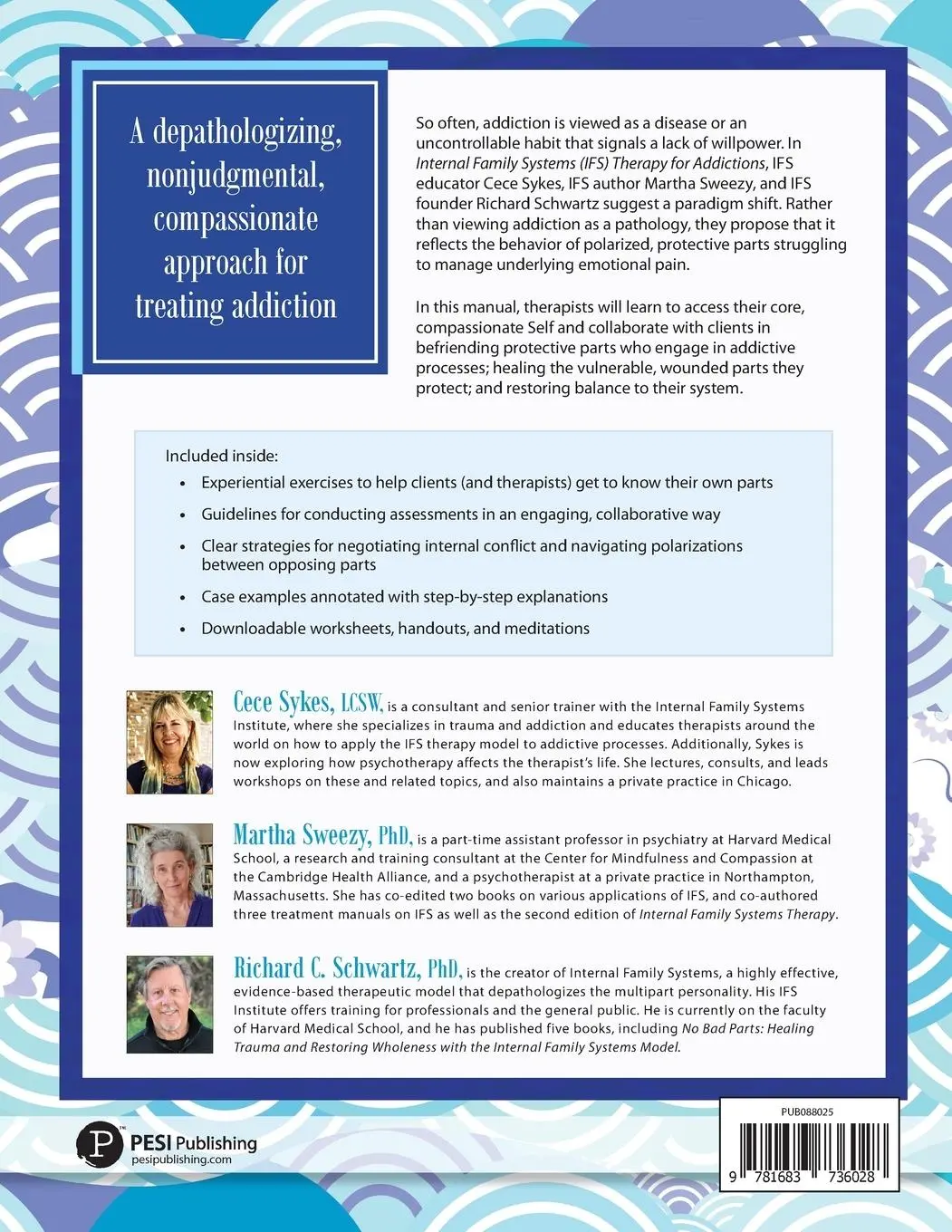 Rückseite: 9781683736028 | Internal Family Systems Therapy for Addictions | Cece Sykes (u. a.)