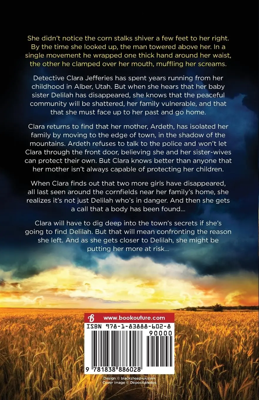 Rückseite: 9781838886028 | The Fallen Girls | Kathryn Casey | Taschenbuch | Englisch | 2020