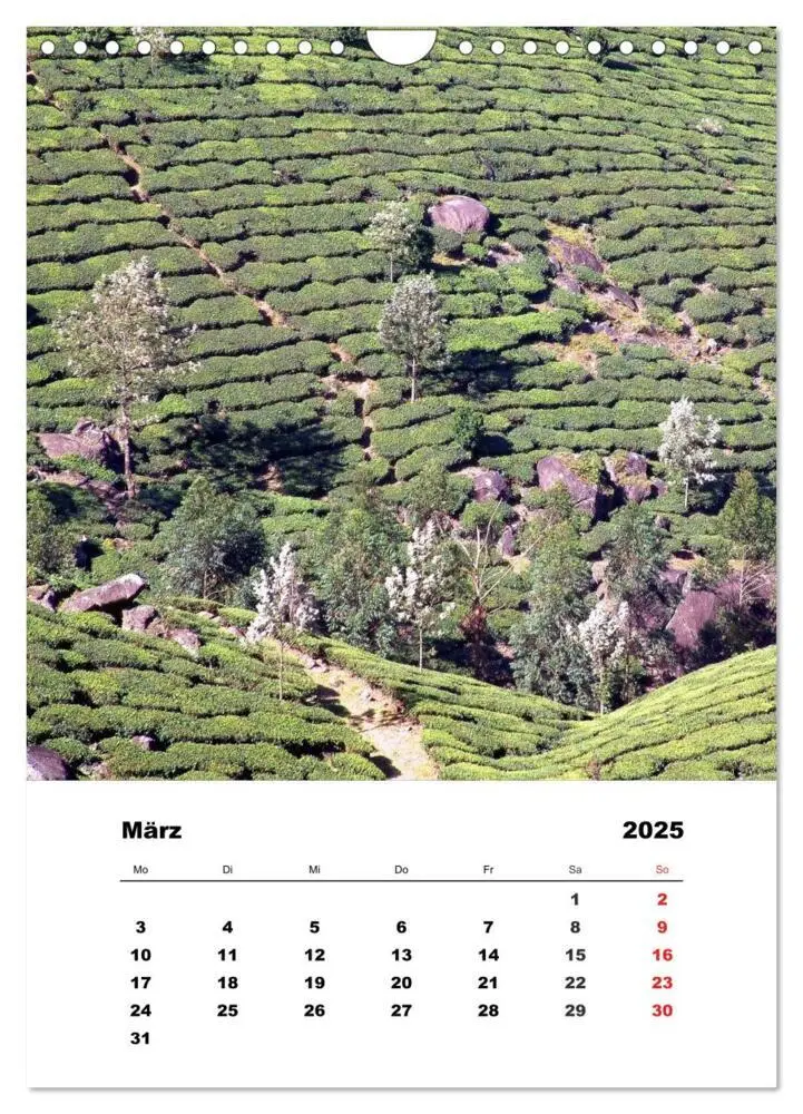 Bild: 9783457056028 | In Kerala (Wandkalender 2025 DIN A4 hoch), CALVENDO Monatskalender