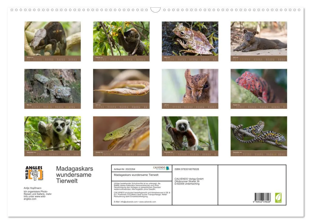 Bild: 9783516076028 | Madagaskars wundersame Tierwelt (Wandkalender 2026 DIN A2 quer),...