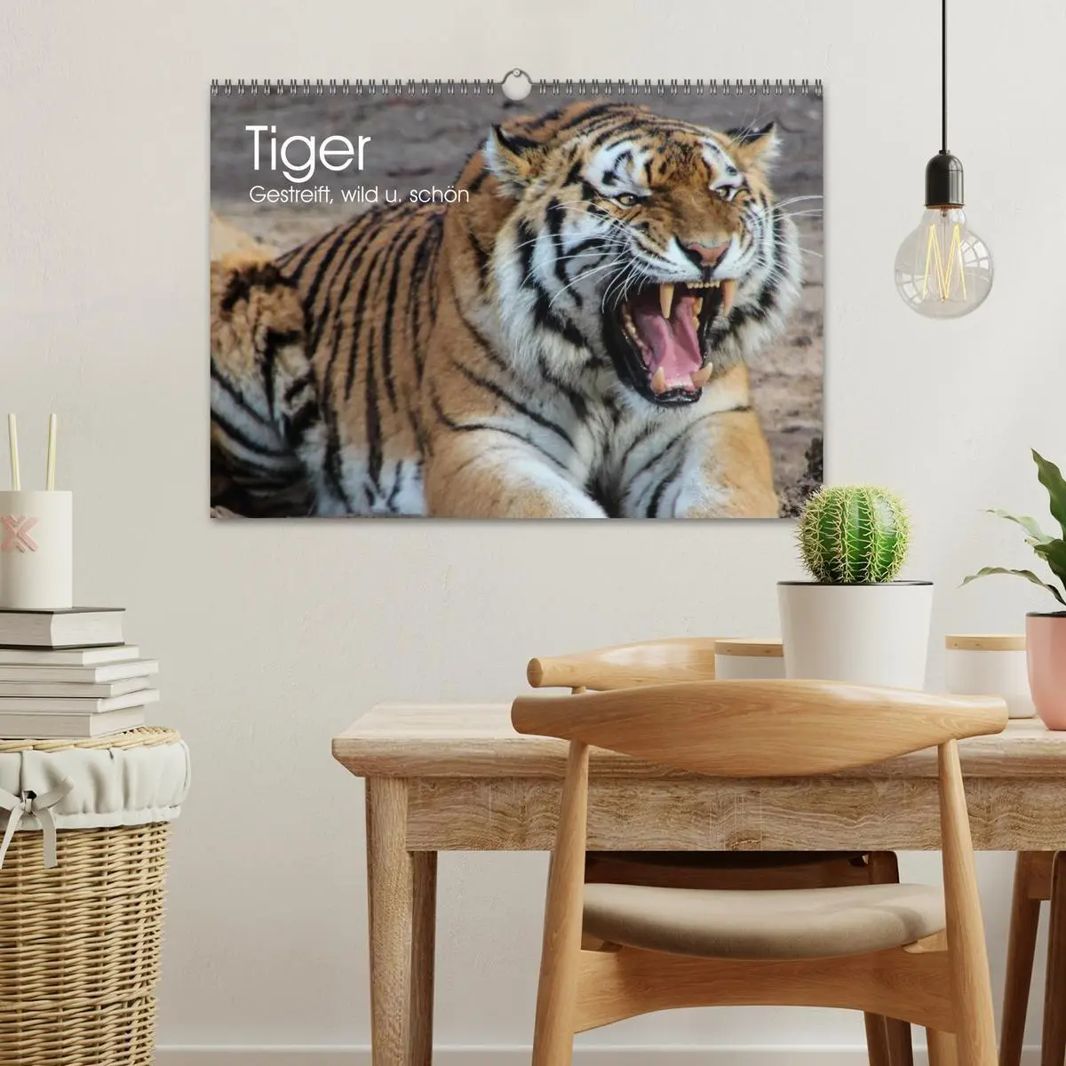Bild: 9783516146028 | Tiger. Gestreift, wild u. schön (Wandkalender 2026 DIN A3 quer),...
