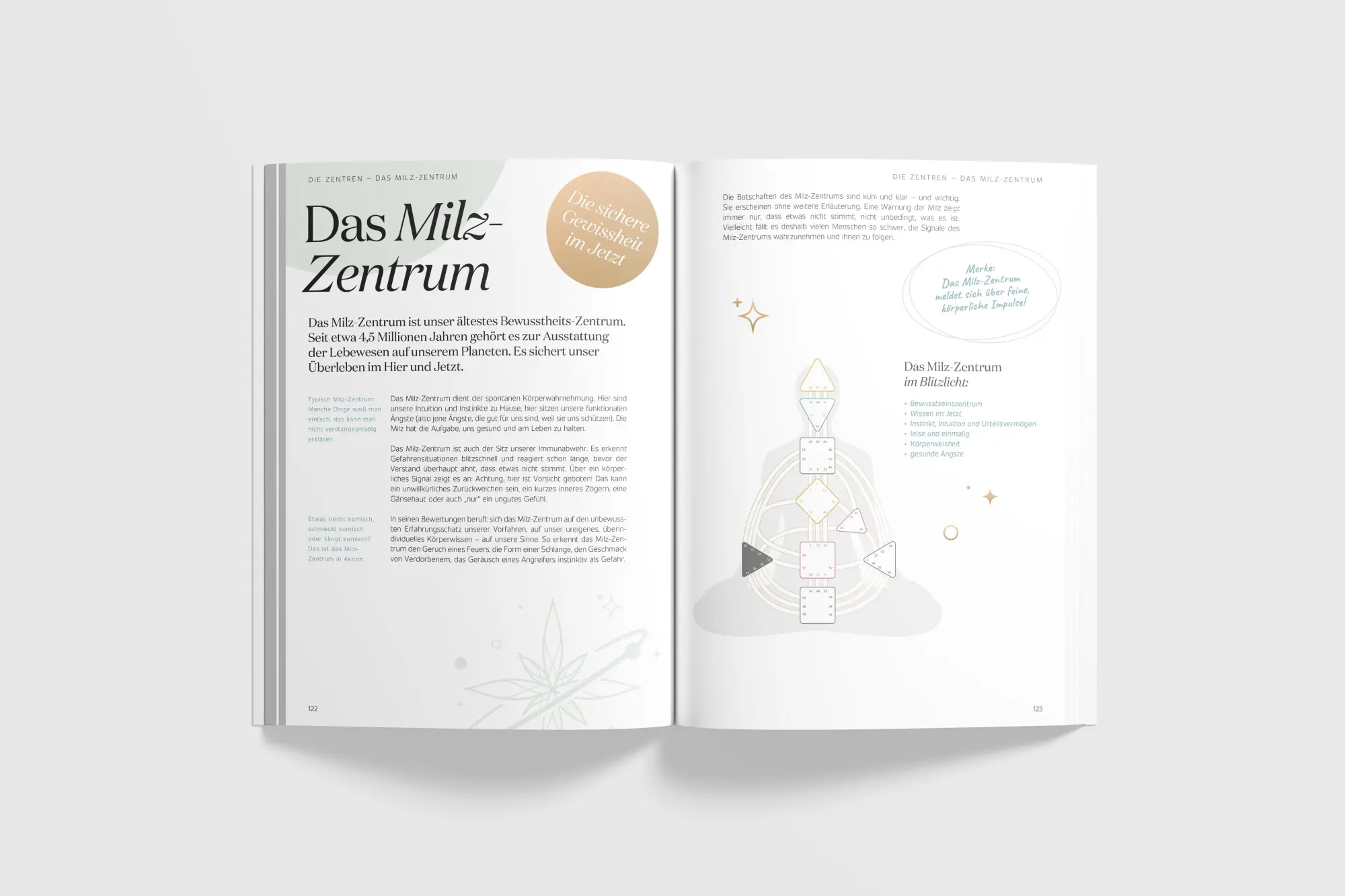 Bild: 9783910856028 | Entdecke dein Human Design | Barbara Peddinghaus | Taschenbuch | 2024