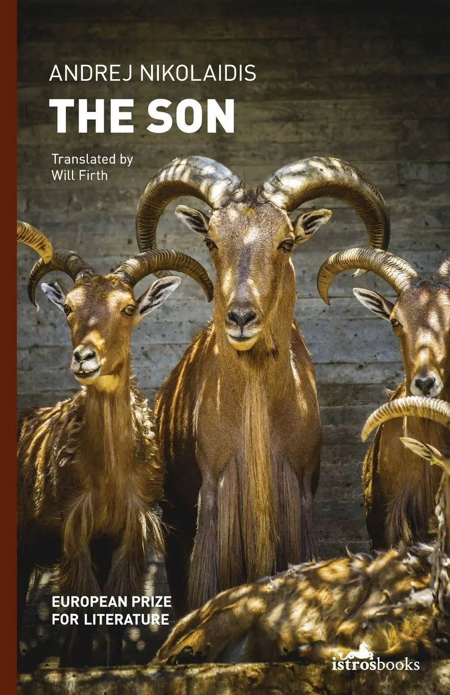 Cover: 9781908236128 | The Son | Andrej Nikolaidis | Taschenbuch | Kartoniert / Broschiert