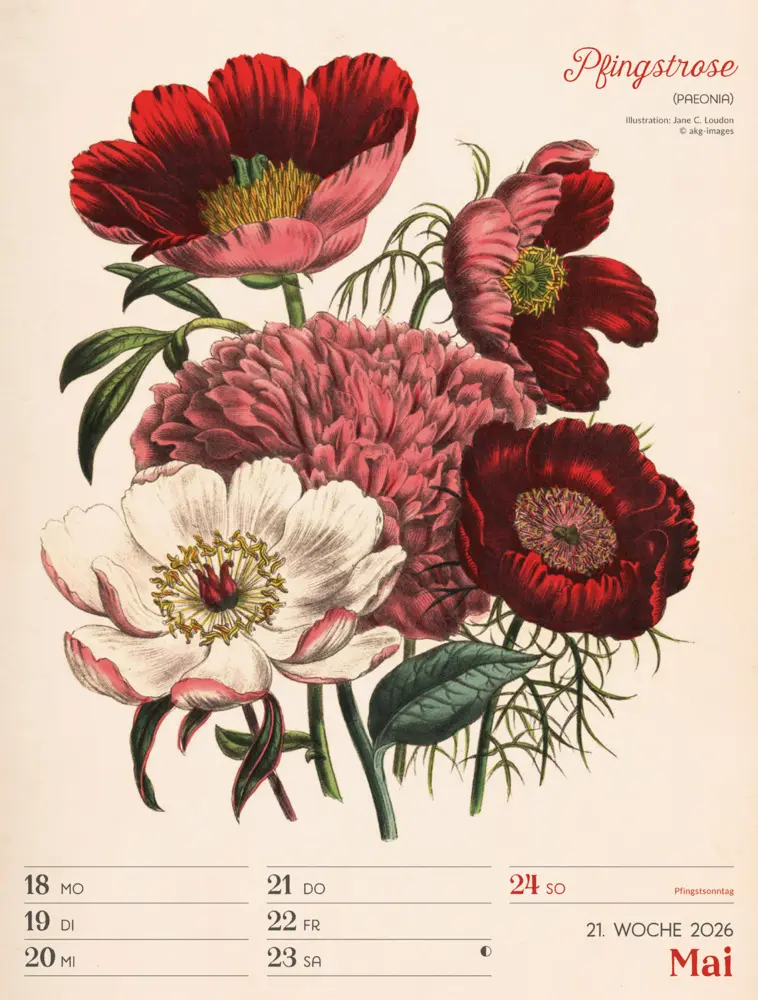 Bild: 9783838436128 | Ars Floralis Wochenplaner Kalender 2026 | Ackermann Kunstverlag GmbH