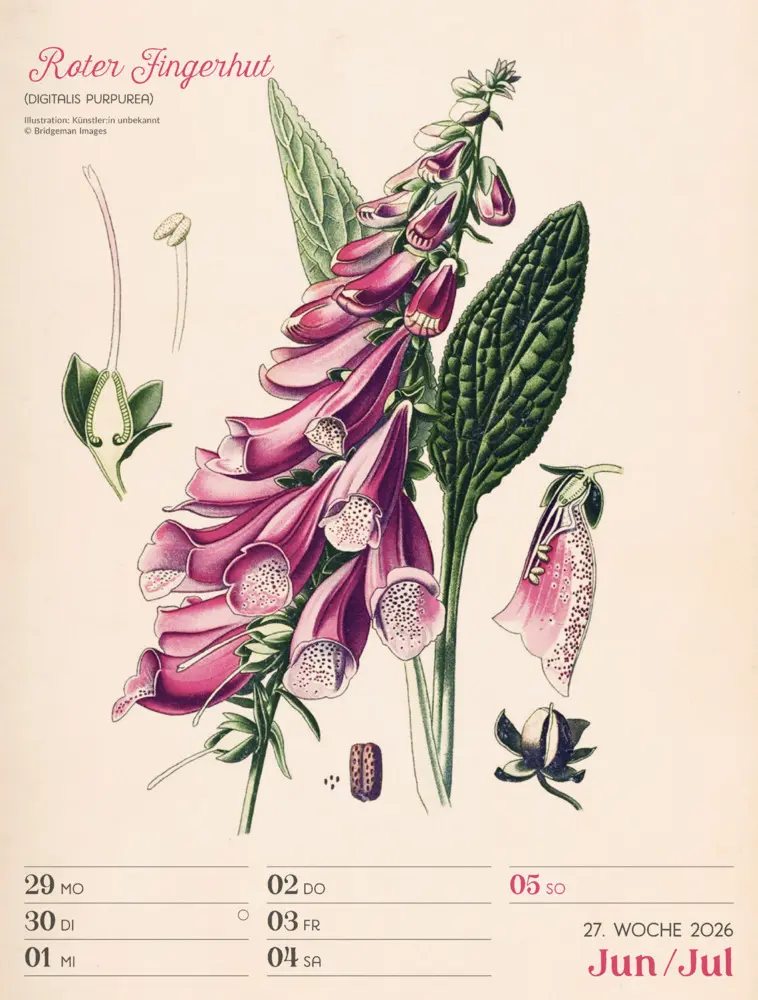 Bild: 9783838436128 | Ars Floralis Wochenplaner Kalender 2026 | Ackermann Kunstverlag GmbH