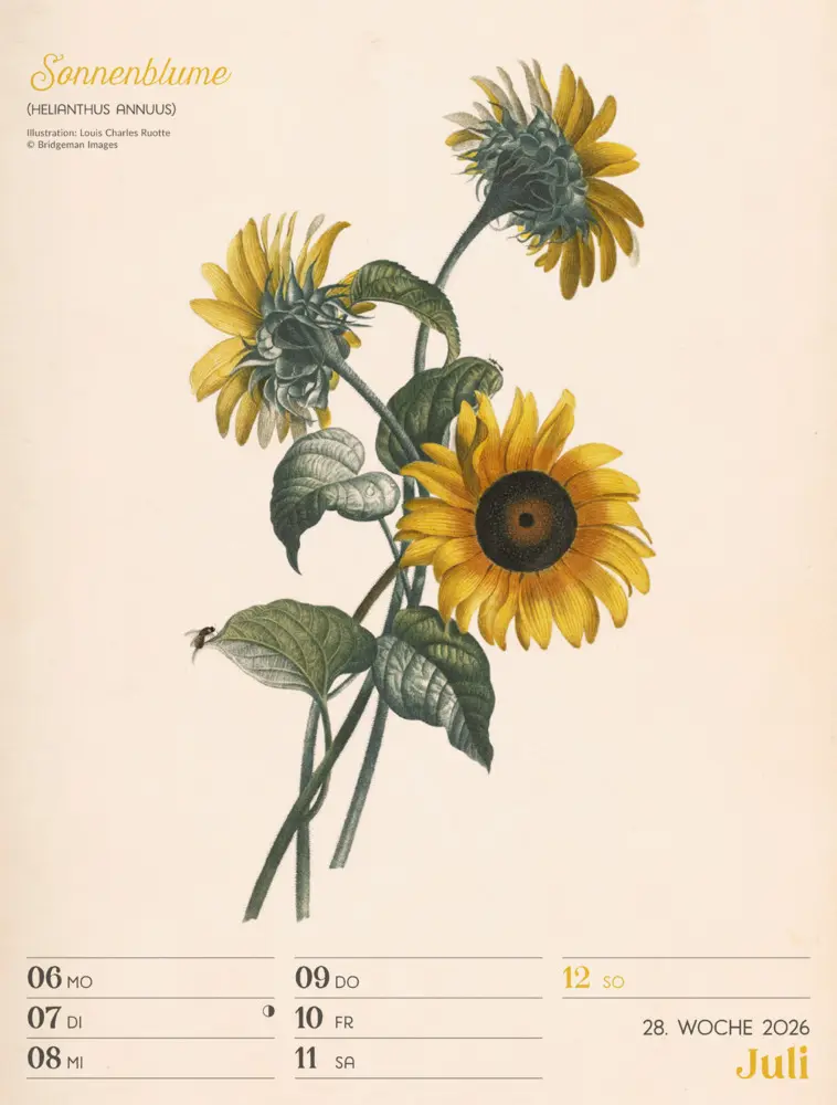 Bild: 9783838436128 | Ars Floralis Wochenplaner Kalender 2026 | Ackermann Kunstverlag GmbH