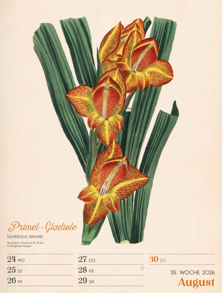 Bild: 9783838436128 | Ars Floralis Wochenplaner Kalender 2026 | Ackermann Kunstverlag GmbH