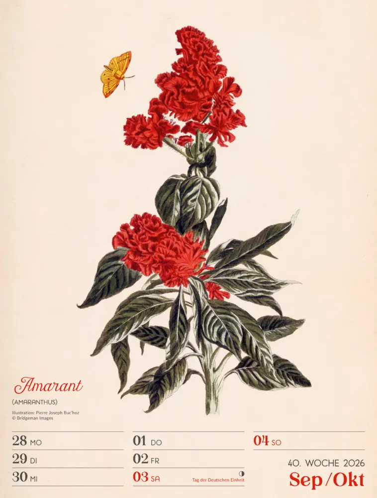 Bild: 9783838436128 | Ars Floralis Wochenplaner Kalender 2026 | Ackermann Kunstverlag GmbH